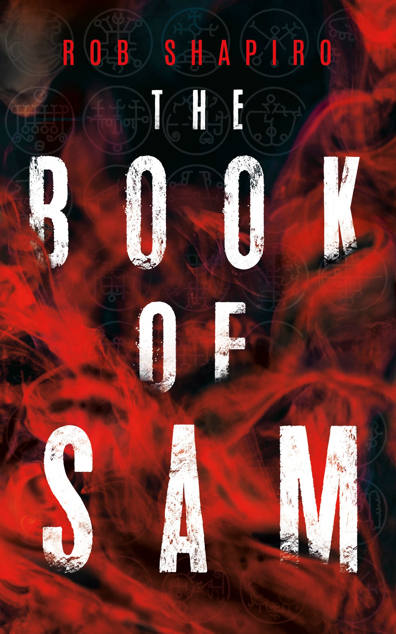 Cover image for The Book of Sam ISBN 9781459746756