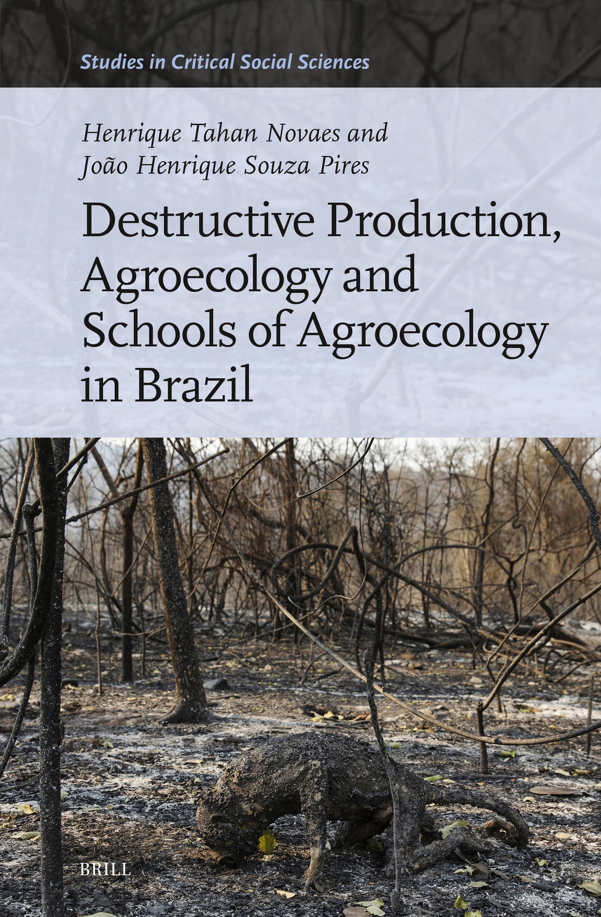 Cover image for Destructive Production, Agroecology and Schools of Agroecology in Brazil ISBN 9789004706422