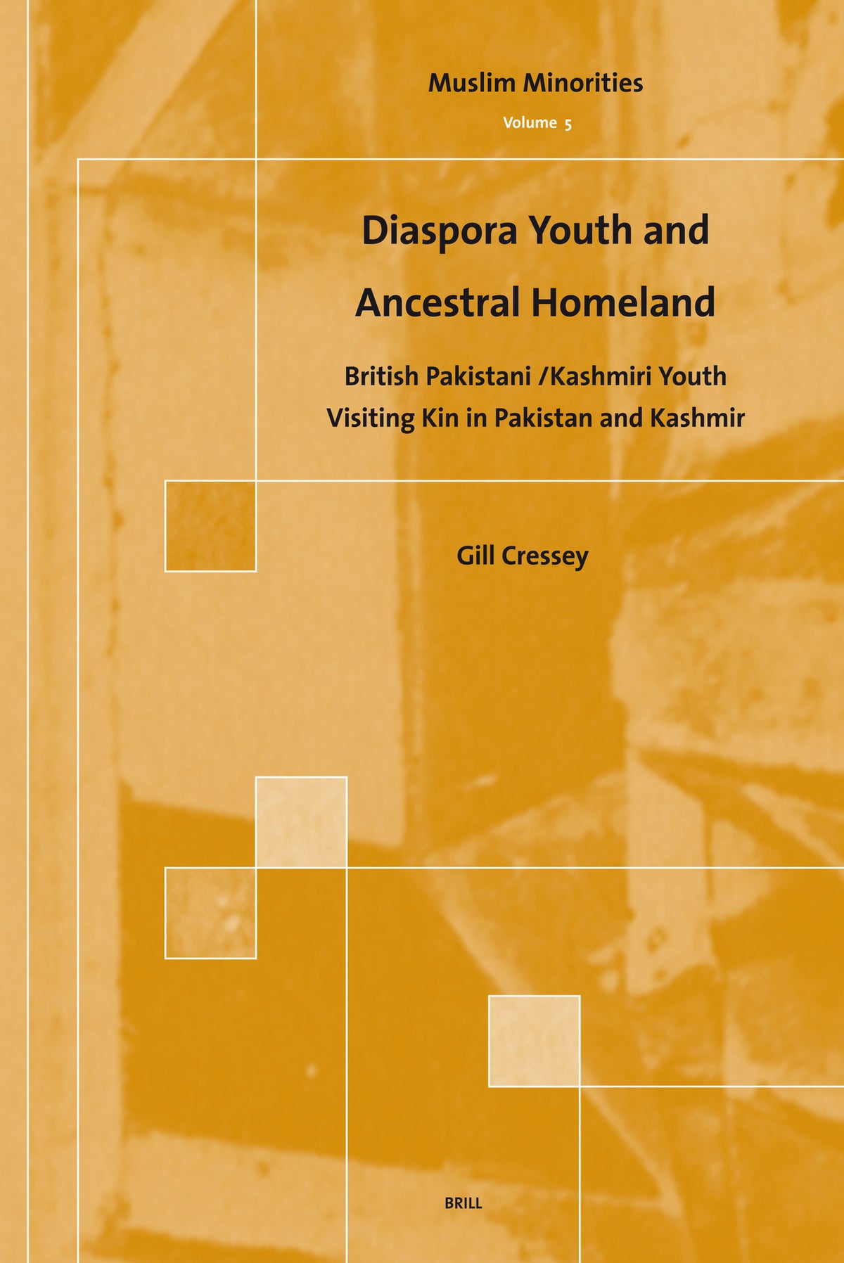Cover image for Diaspora Youth and Ancestral Homeland ISBN 9789004153462