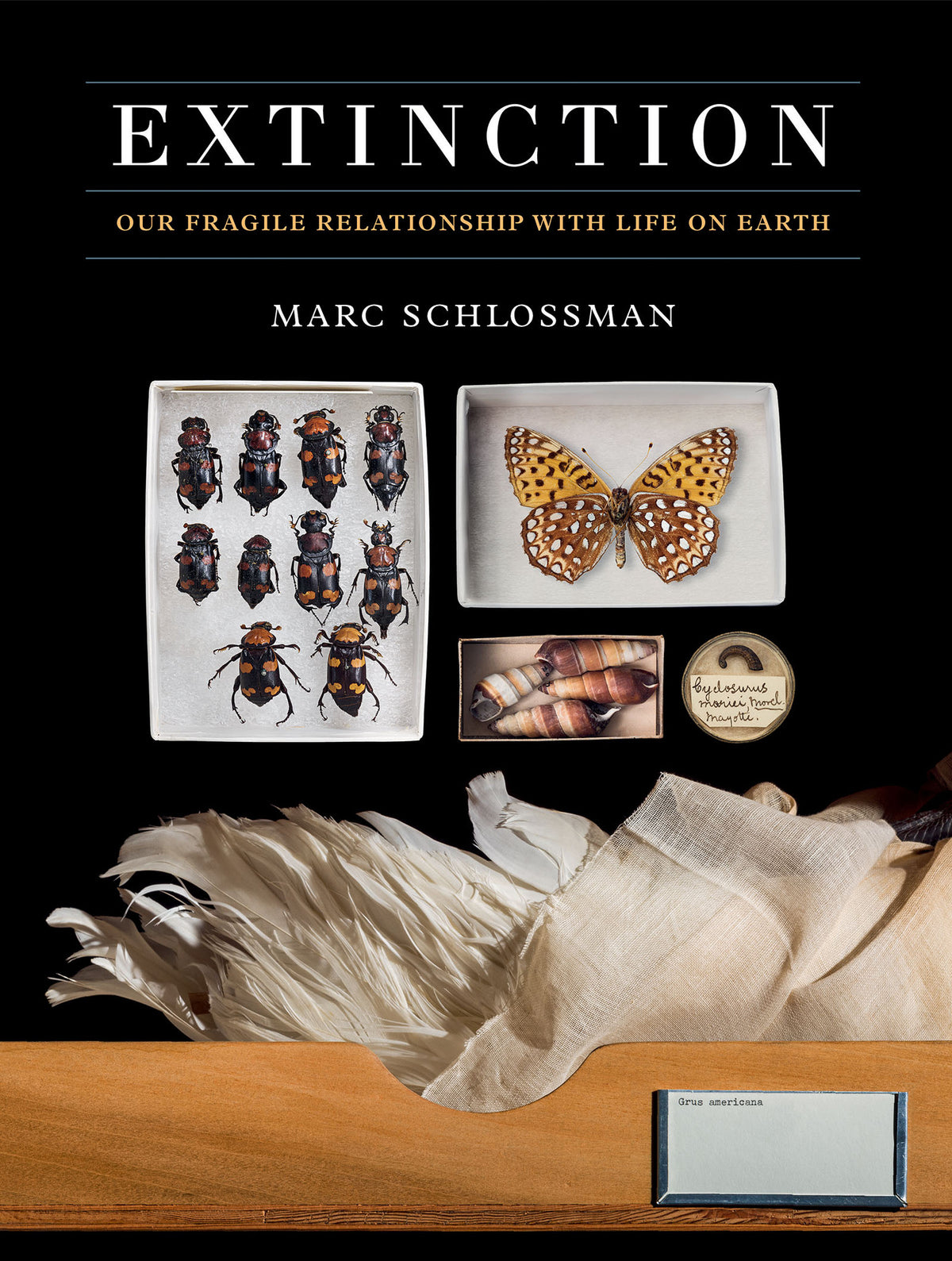 Cover image for Extinction ISBN 9781781454534