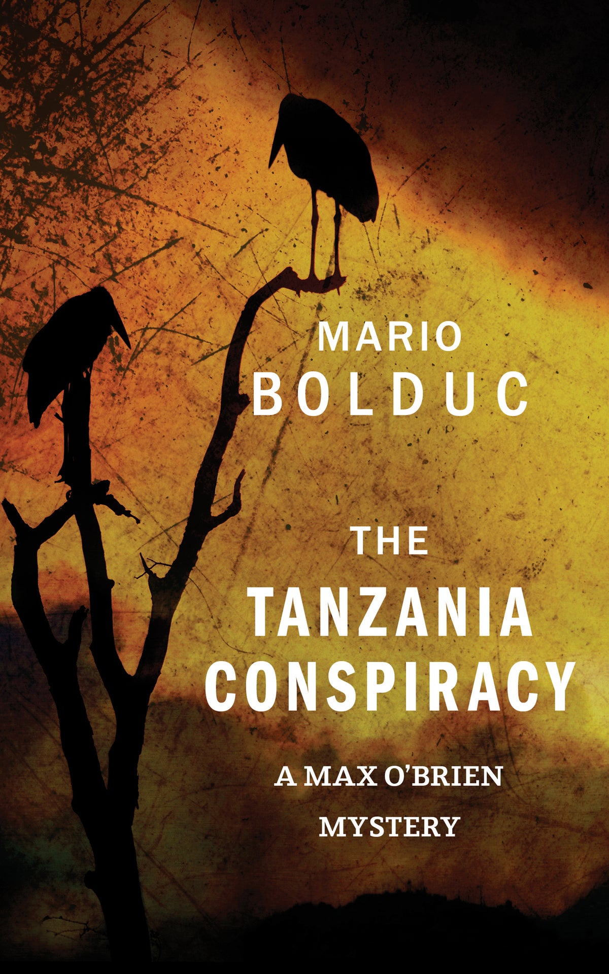 Cover image for The Tanzania Conspiracy ISBN 9781459736092
