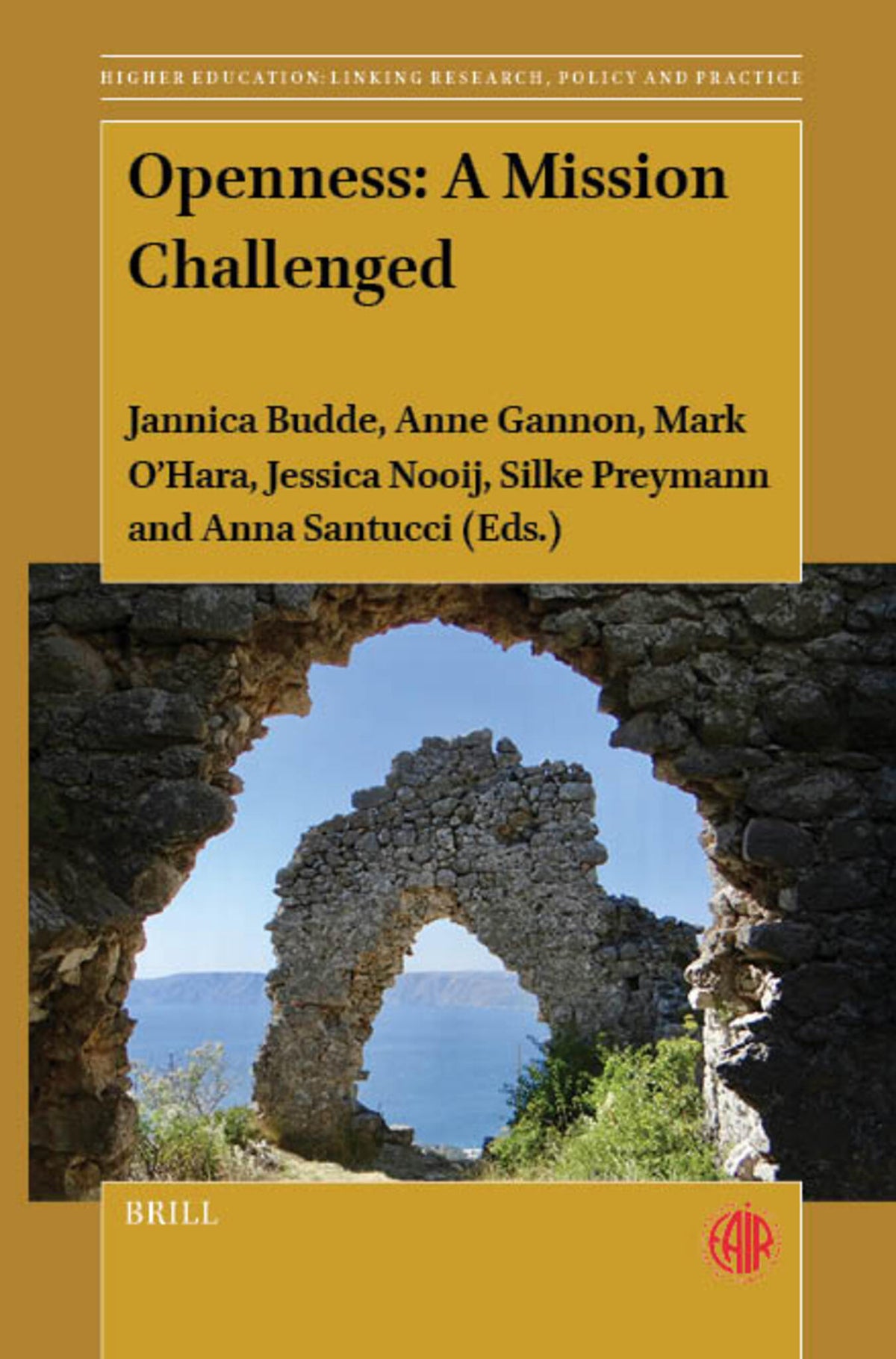 Cover image for Openness: A Mission Challenged ISBN 9789004768130