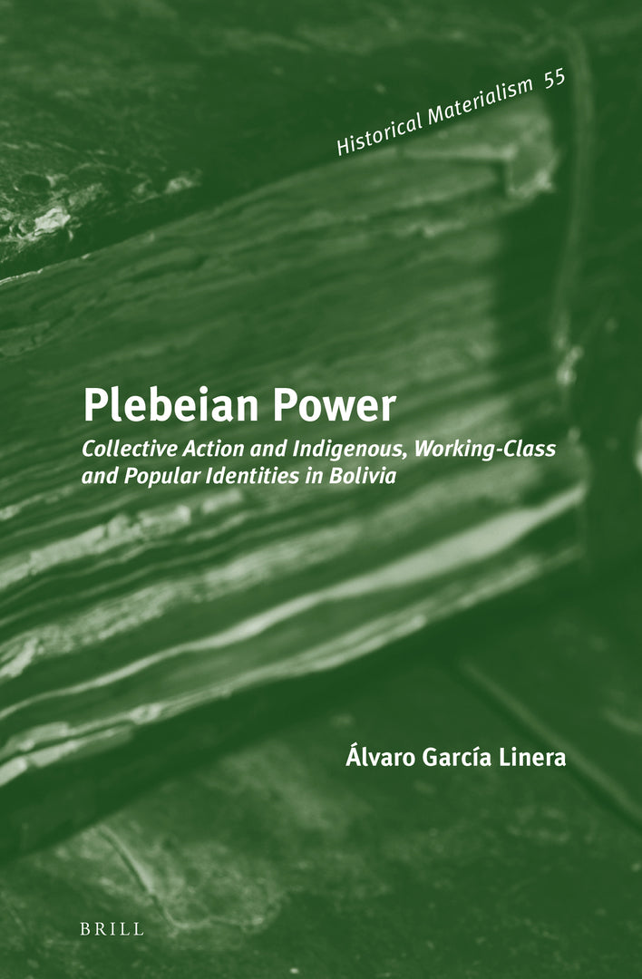 Cover image for Plebeian Power ISBN 9789004254435