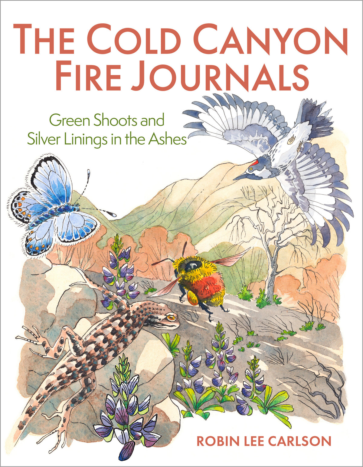 Cover image for The Cold Canyon Fire Journals ISBN 9781597145848