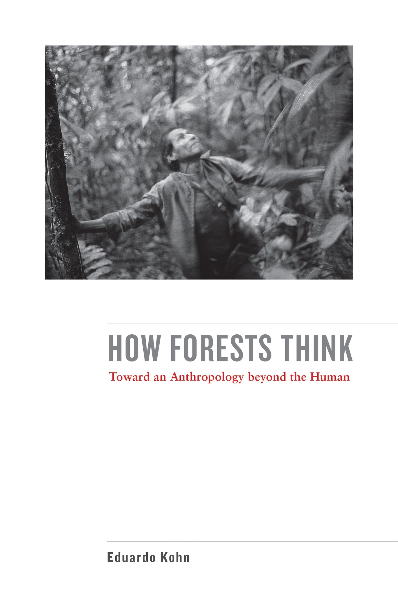 How Forests Think