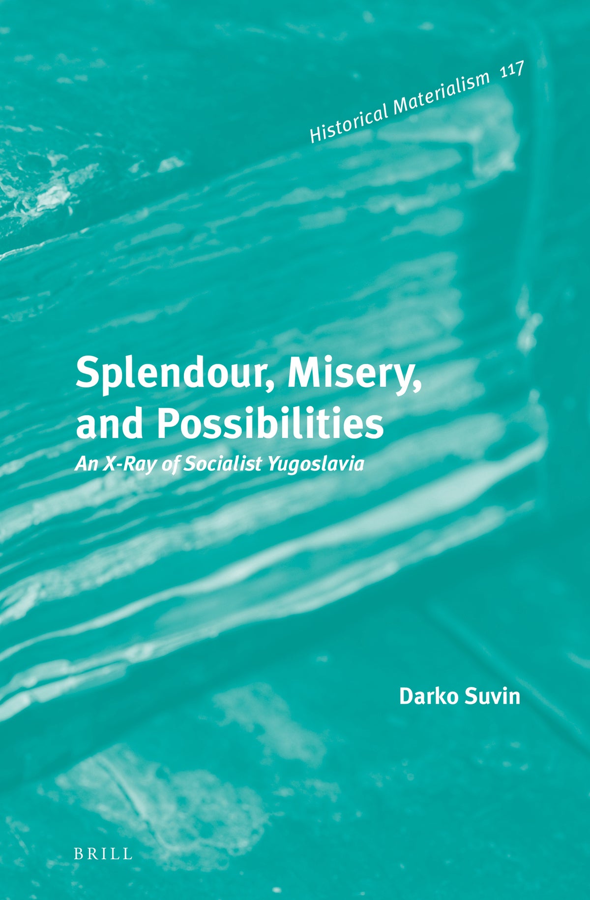 Cover image for Splendour, Misery, and Possibilities ISBN 9789004306943