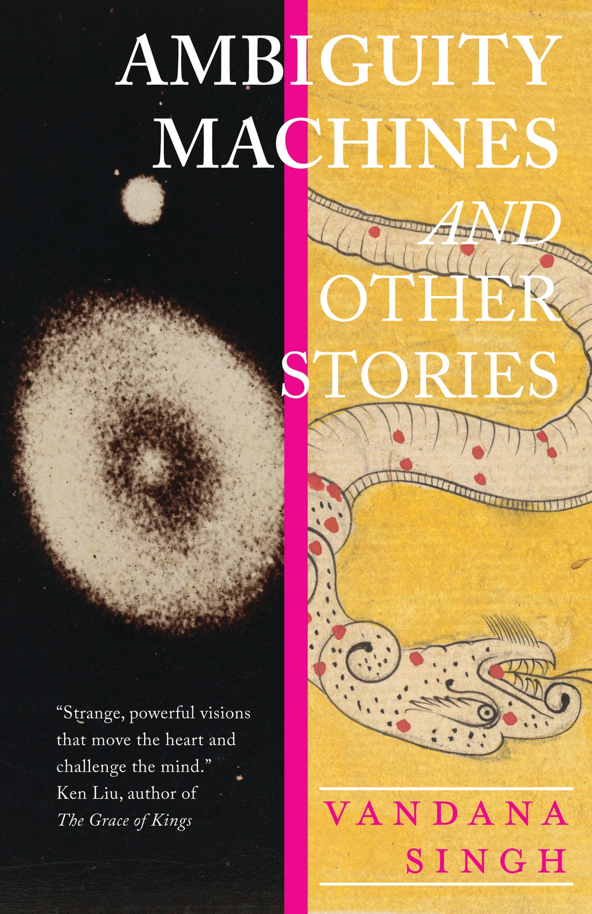 Cover image for Ambiguity Machines ISBN 9781618731432