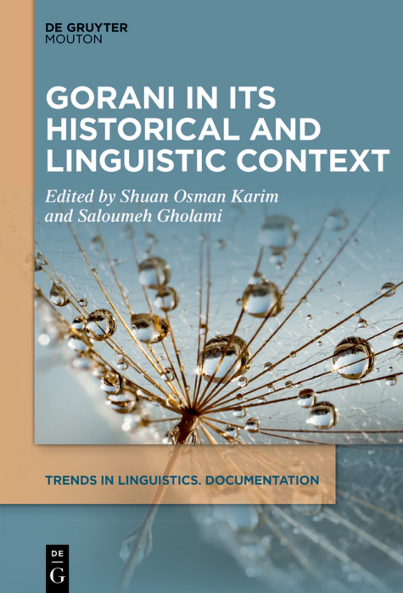 Cover image for Gorani in its Historical and Linguistic Context ISBN 9783111168685