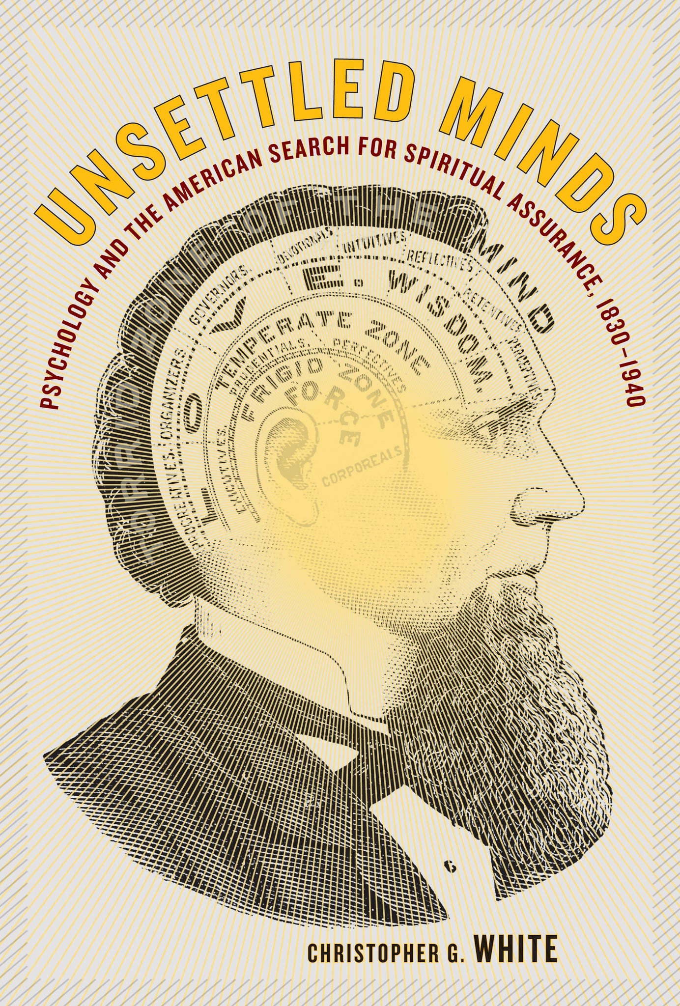 Cover image for Unsettled Minds ISBN 9780520942721