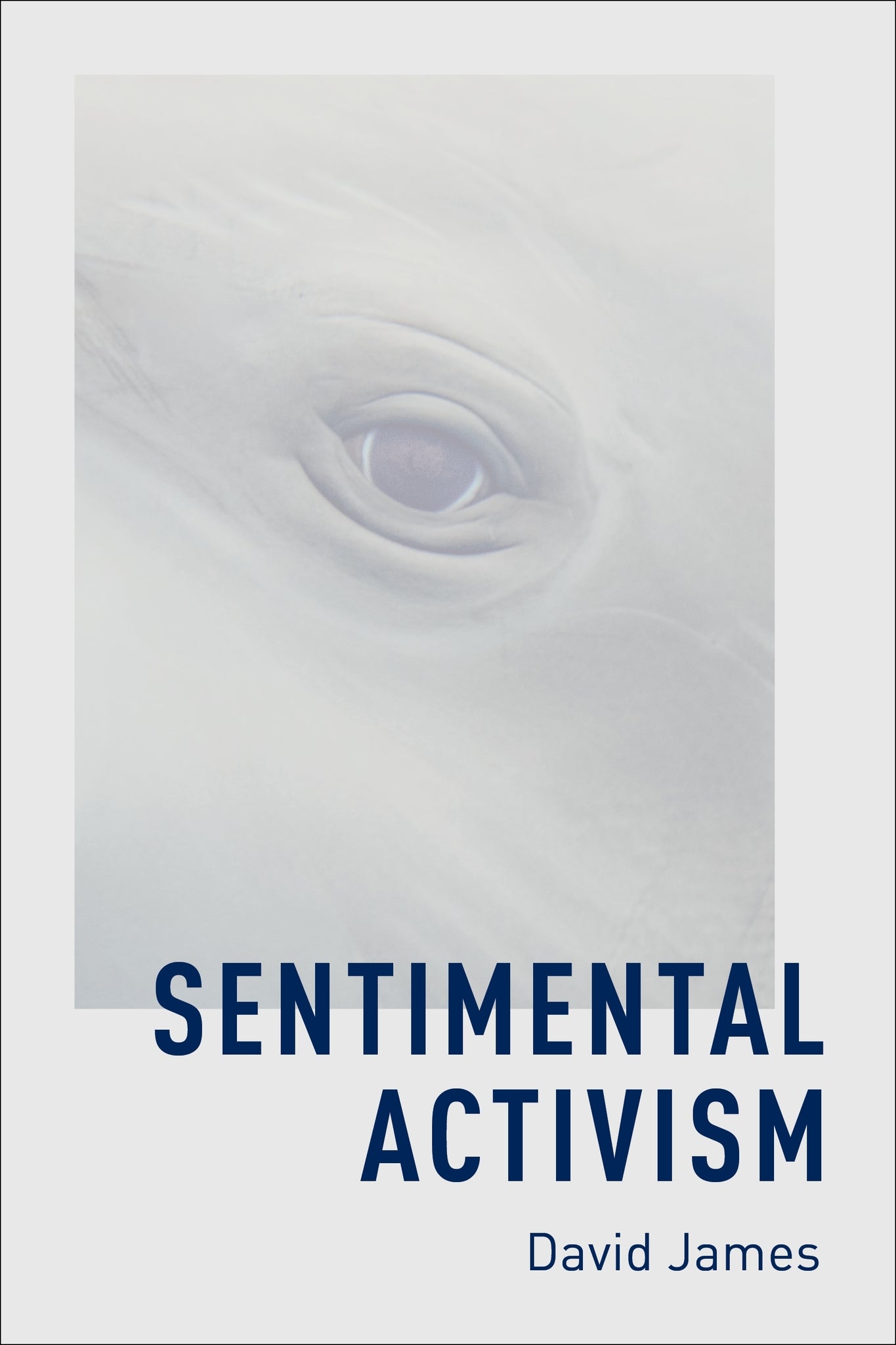 Sentimental Activism