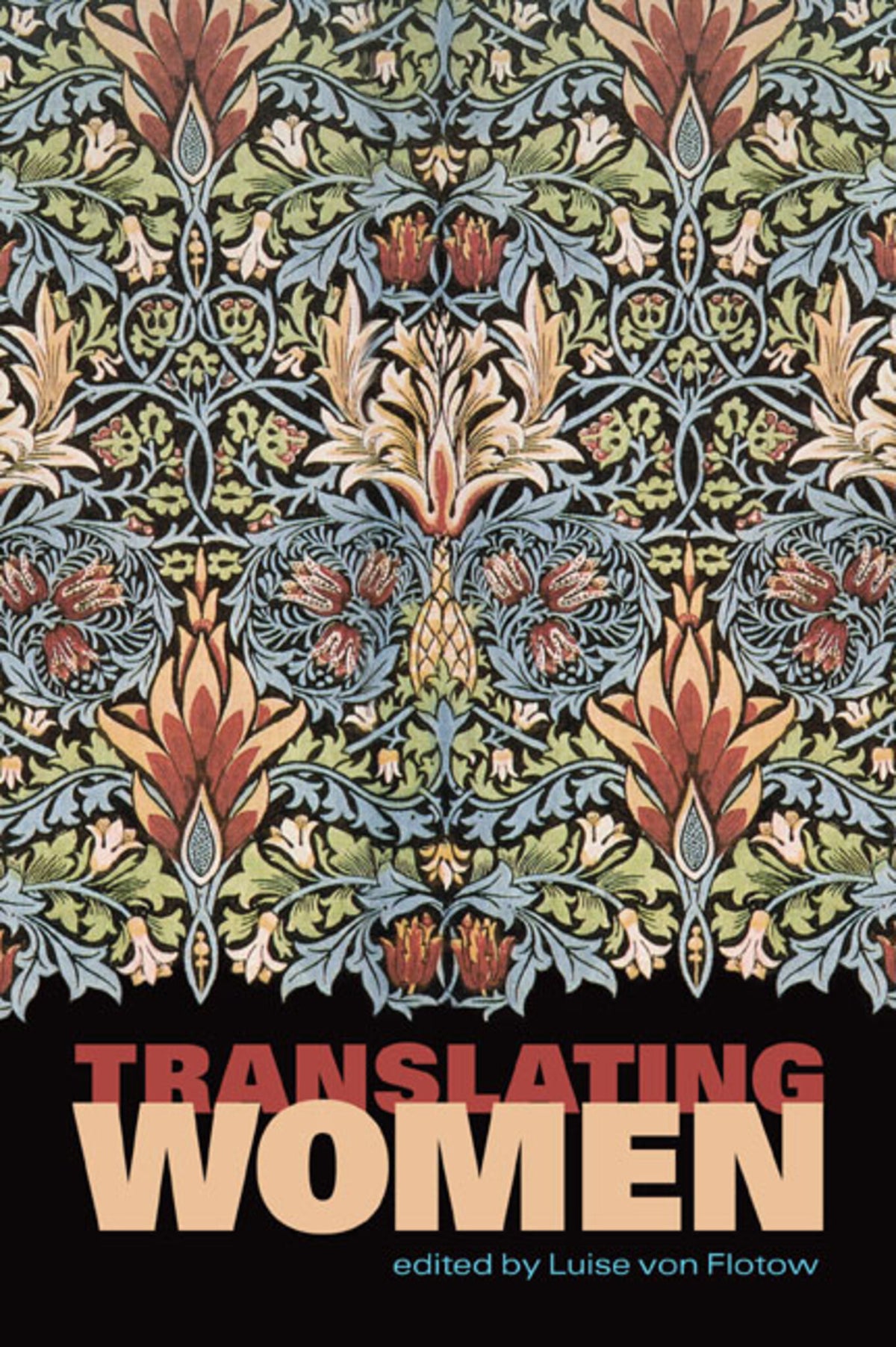 Cover image for Translating Women ISBN 9780776607276
