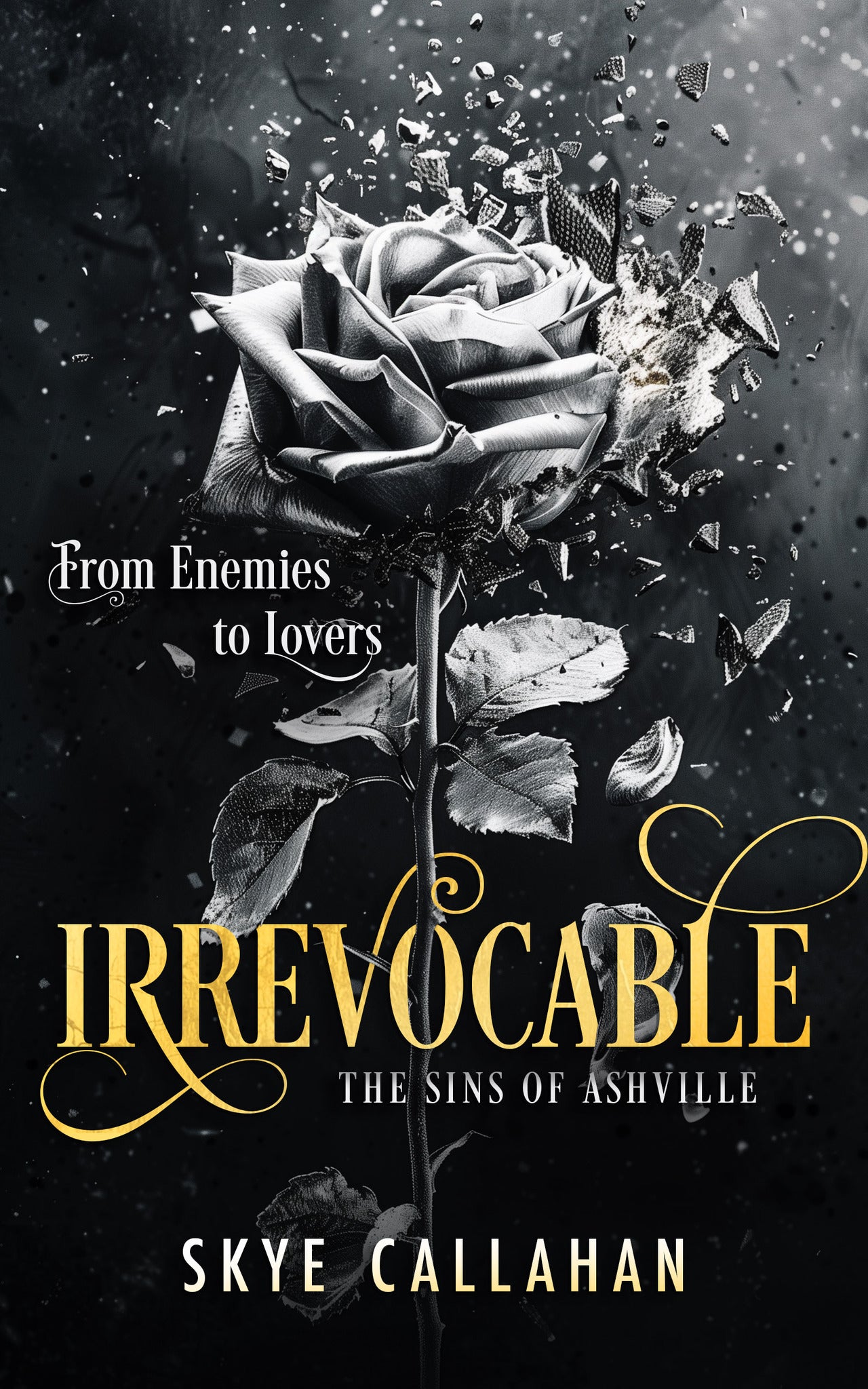 Cover image for Irrevocable ISBN 9781036701796