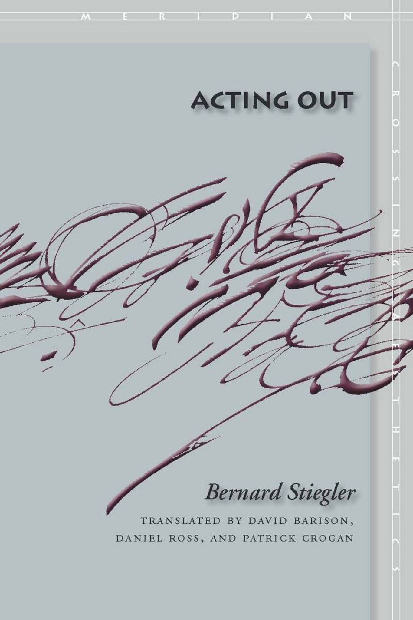 Cover image for Acting Out ISBN 9780804758680