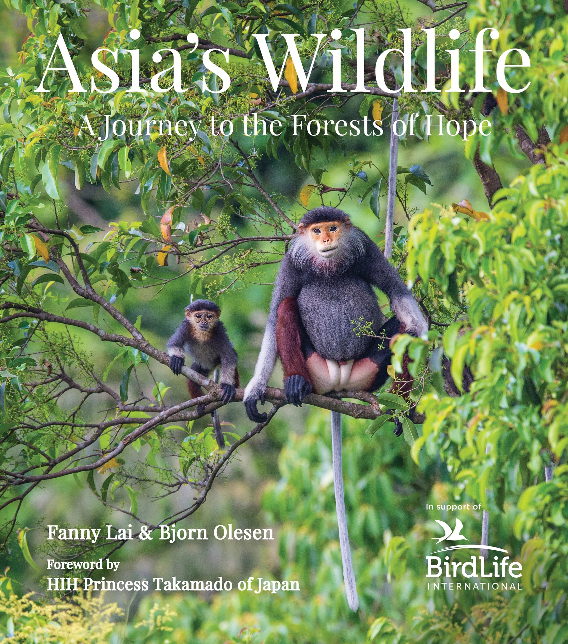 Cover image for Asia's Wildlife ISBN 9780794608255