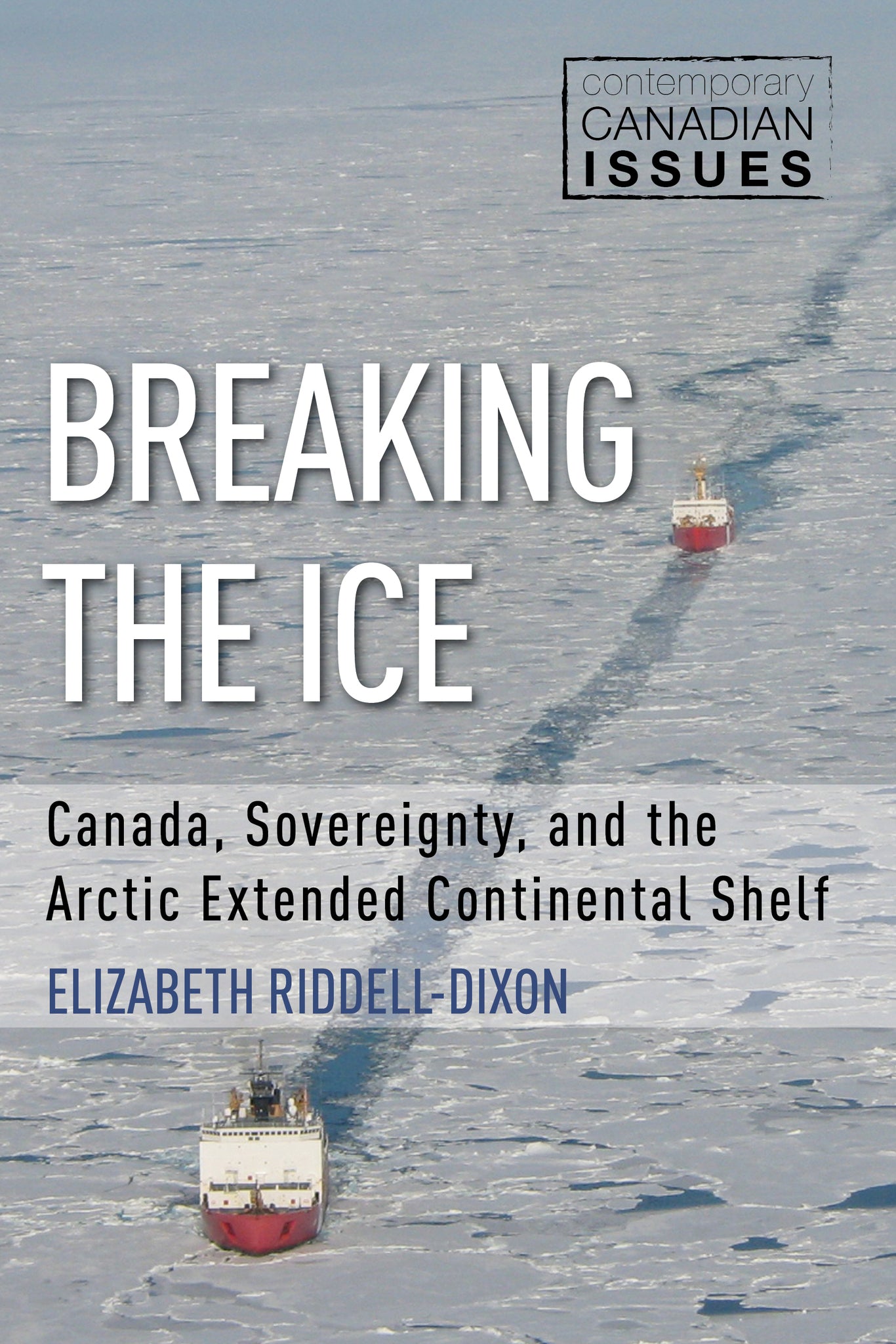Cover image for Breaking the Ice ISBN 9781459738973