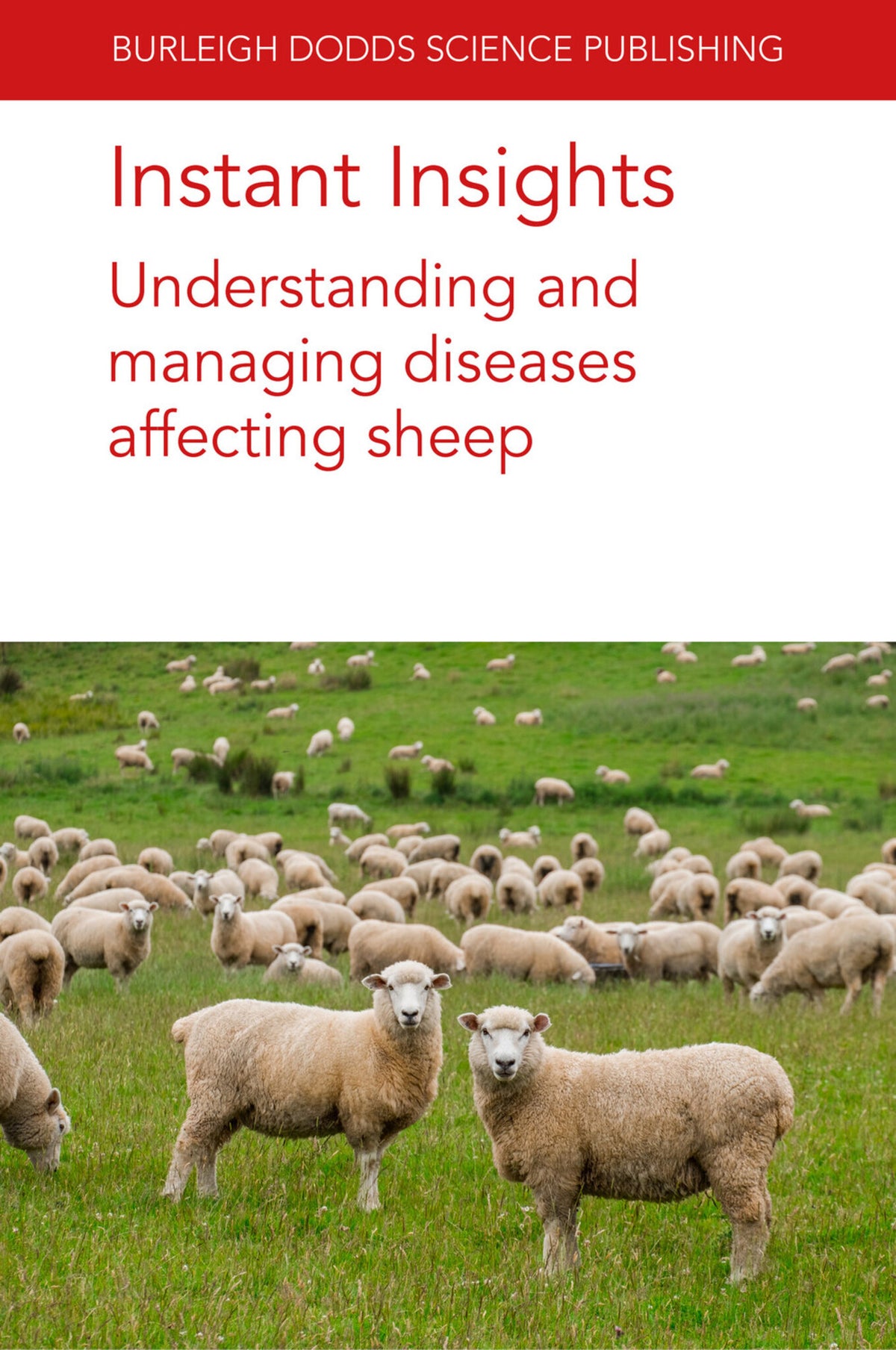 Cover image for Instant Insights: Understanding and managing diseases affecting sheep ISBN 9781835456569