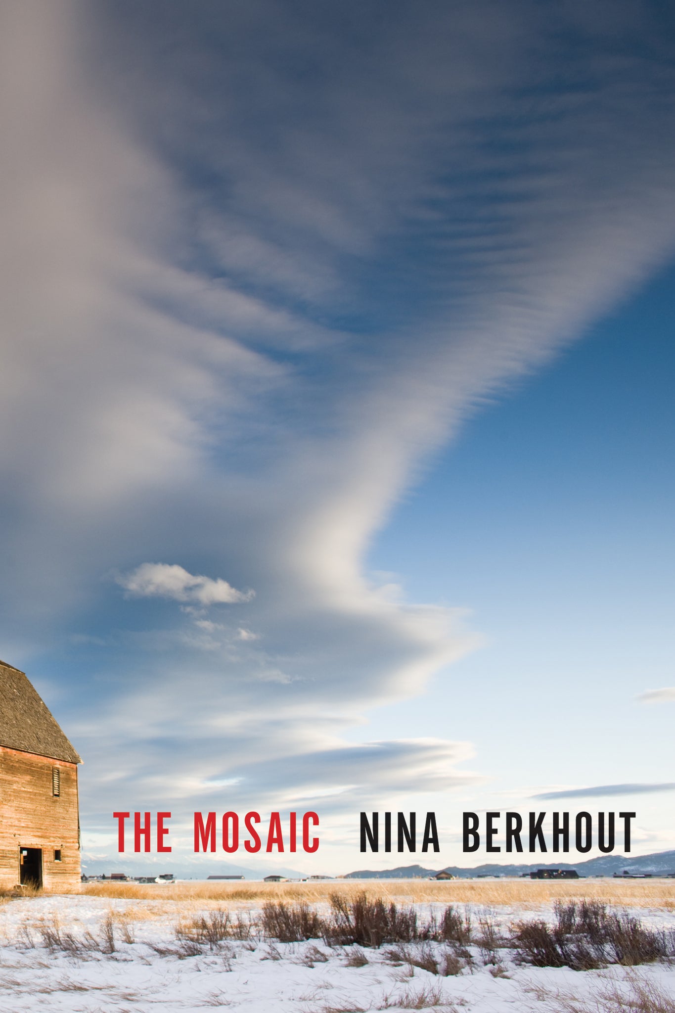 Cover image for The Mosaic ISBN 9781554989850