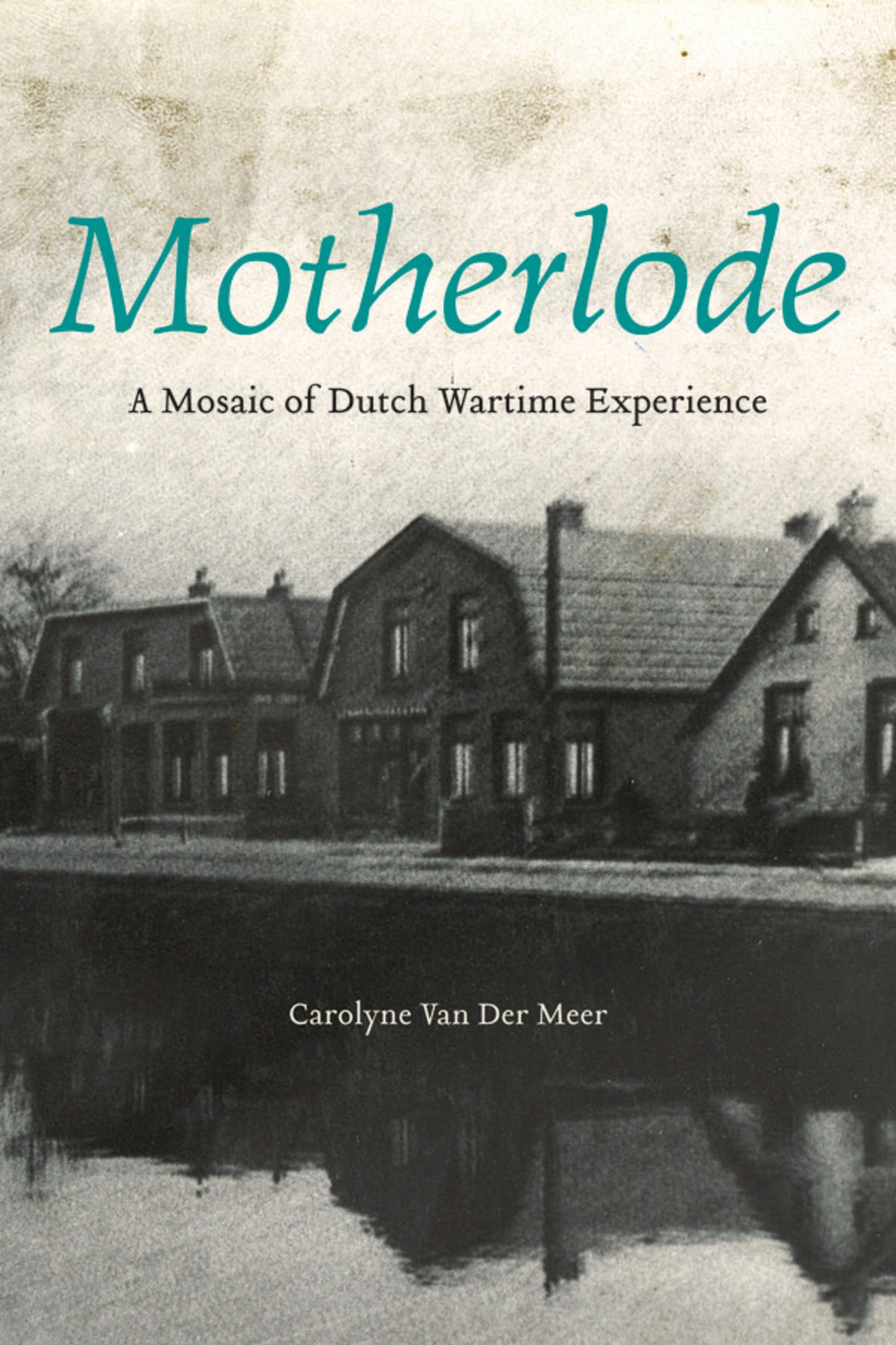 Cover image for Motherlode ISBN 9781771120050