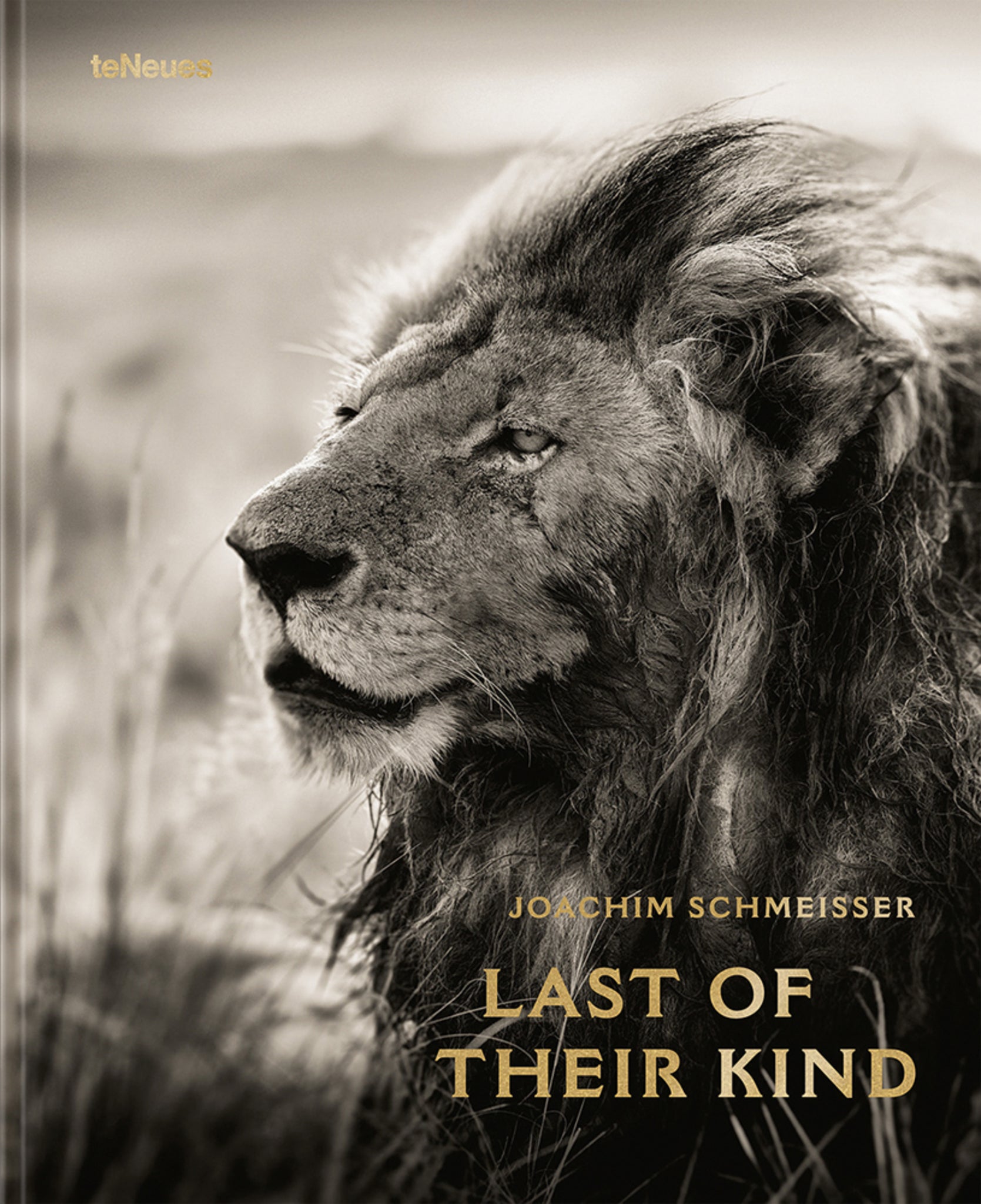 Cover image for Last of Their Kind ISBN 9783961712793