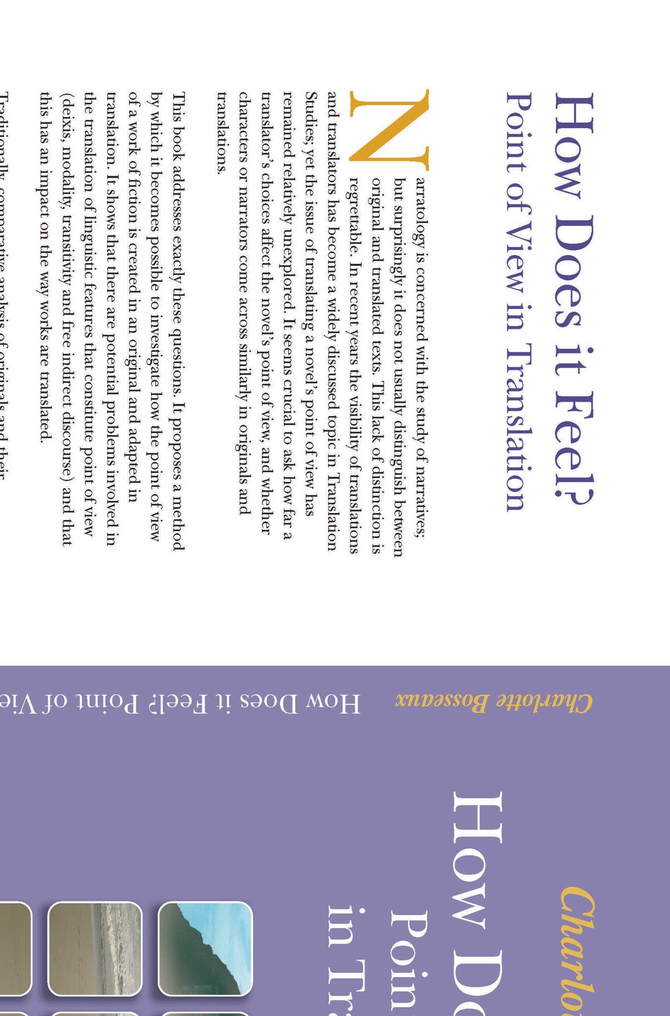 How Does it Feel? Point of View in Translation