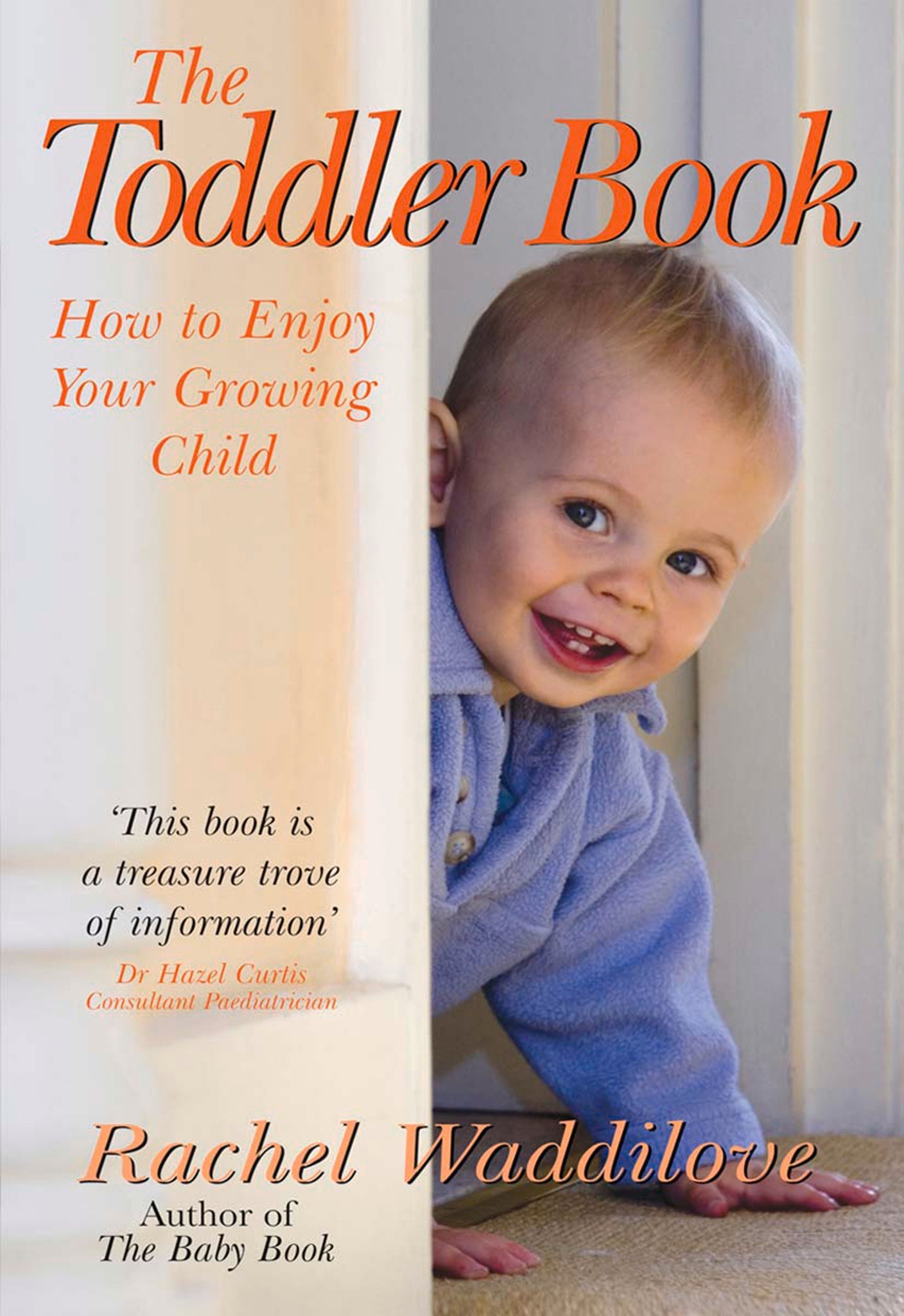 Cover image for The Toddler Book ISBN 9780745952963