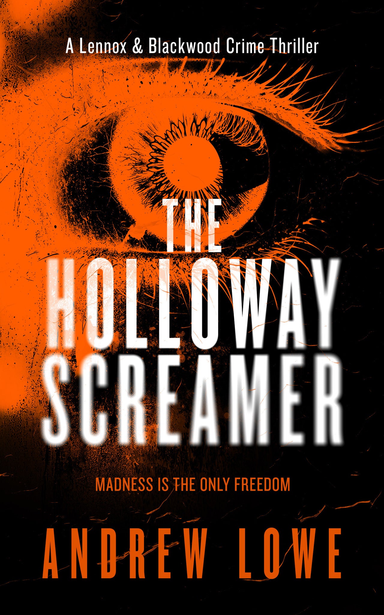 Cover image for The Holloway Screamer ISBN 9781036714789