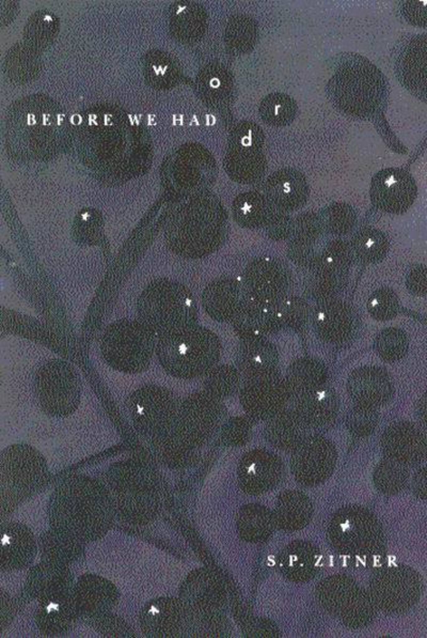 Before We Had Words
