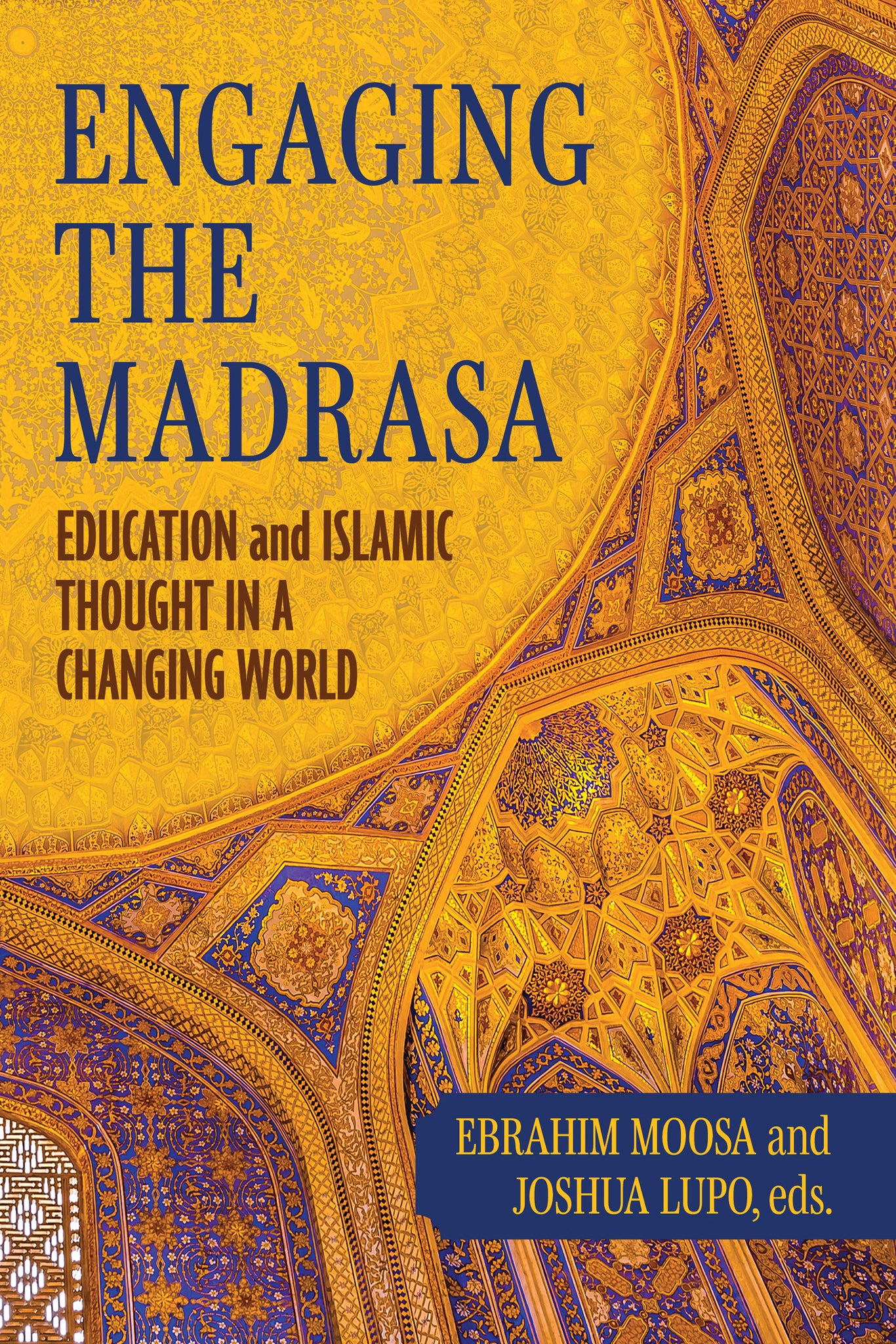 Cover image for Engaging the Madrasa ISBN 9780268211042