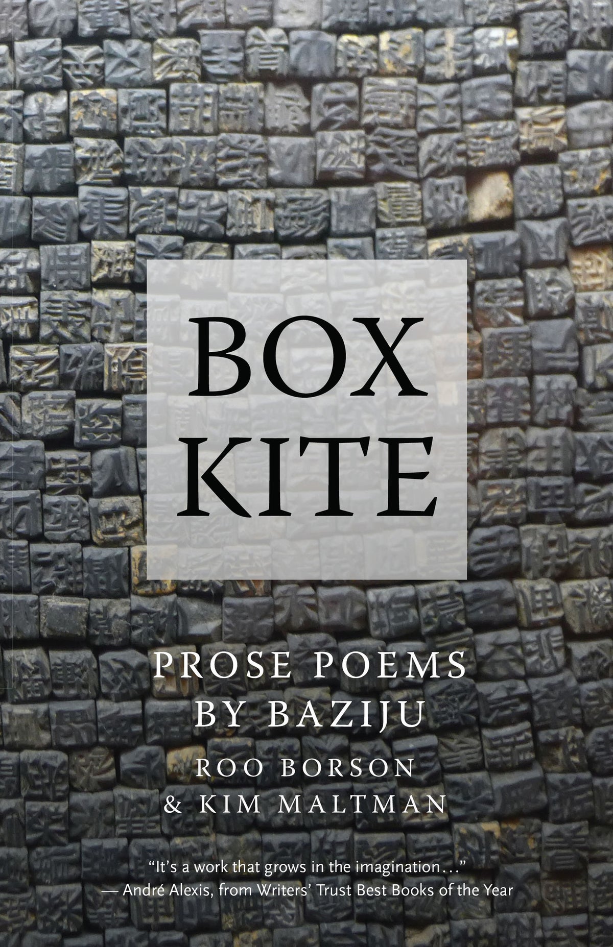 Cover image for Box Kite ISBN 9781770899629