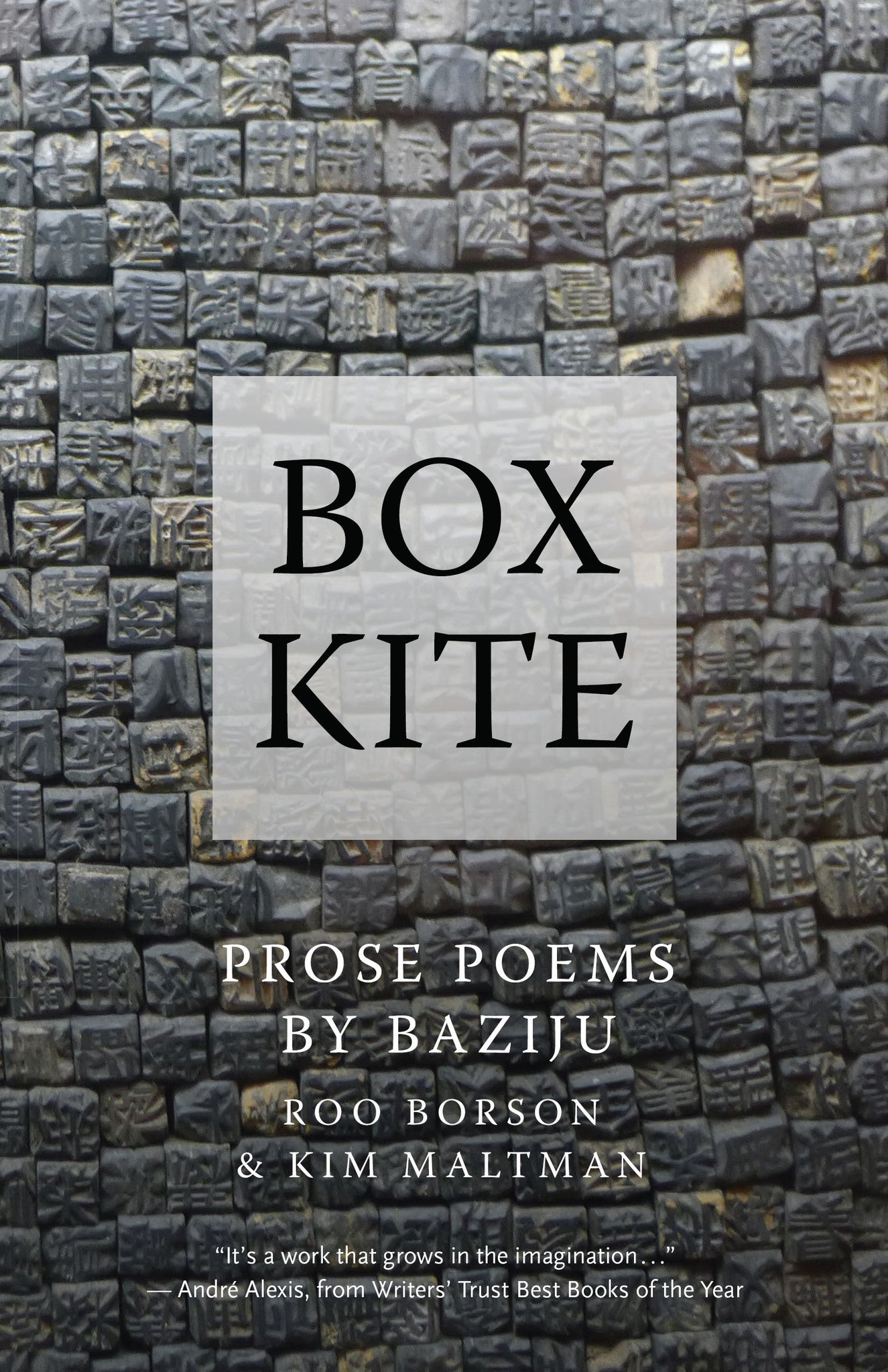 Cover image for Box Kite ISBN 9781770899629