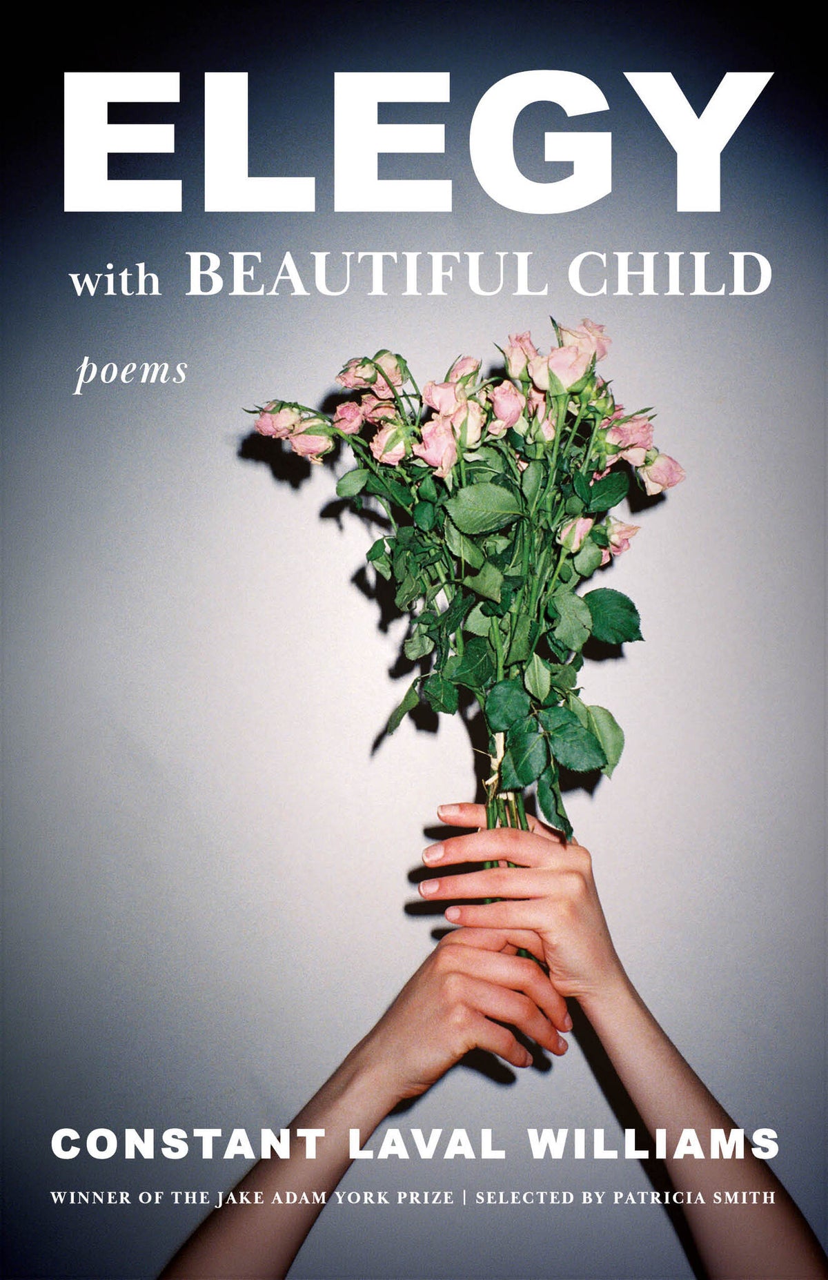 Cover image for Elegy with Beautiful Child ISBN 9781639552054