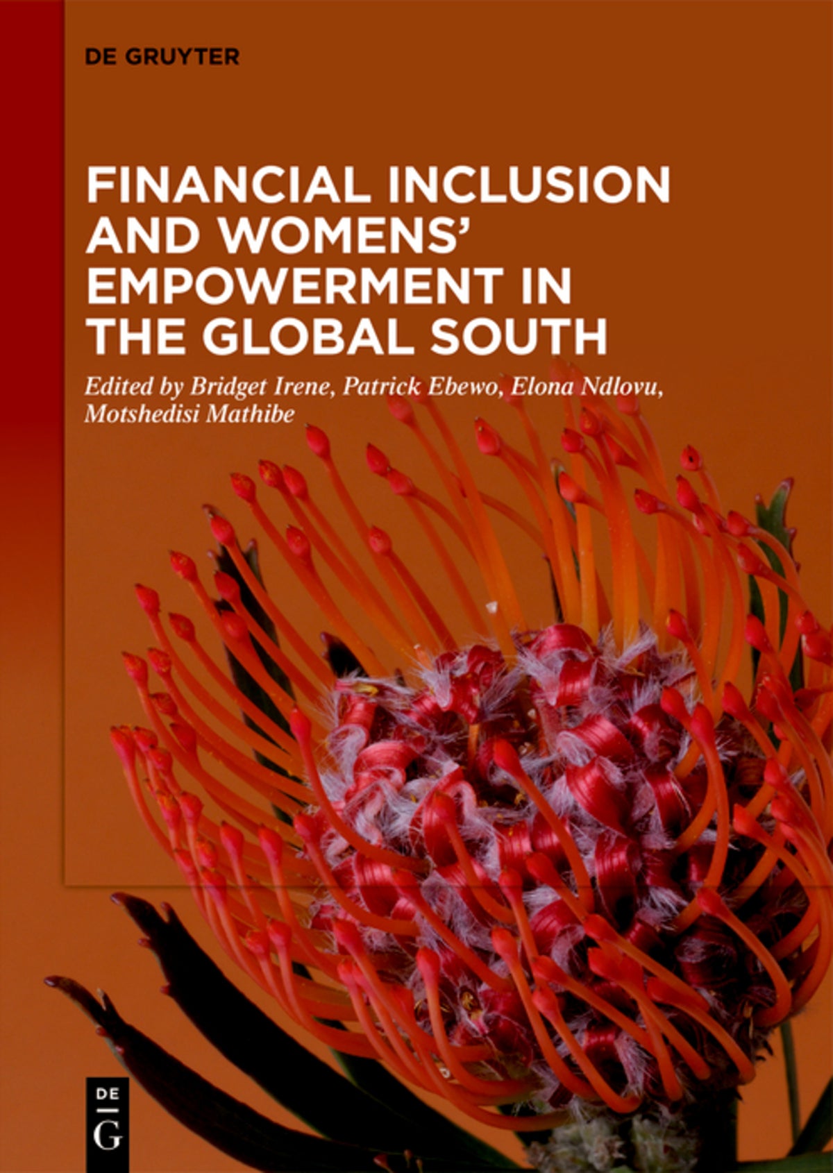 Cover image for Financial Inclusion and Womens' Empowerment in the Global South ISBN 9783119143394