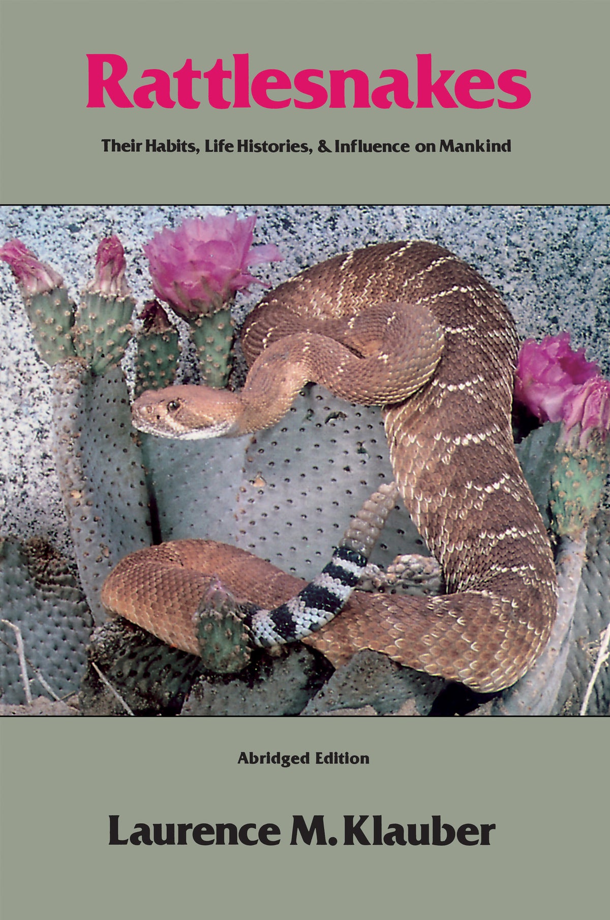 Cover image for Rattlesnakes ISBN 9780520040397