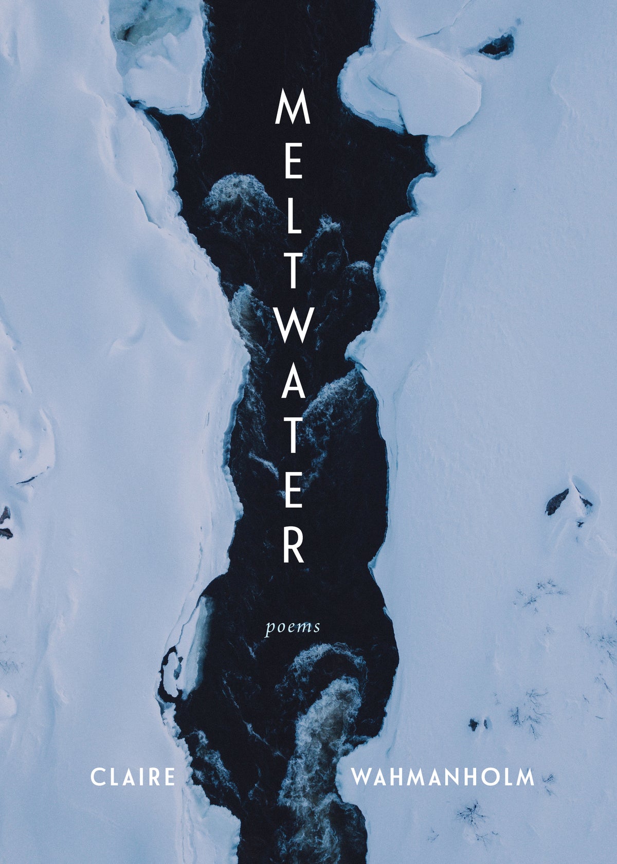 Cover image for Meltwater ISBN 9781639551019