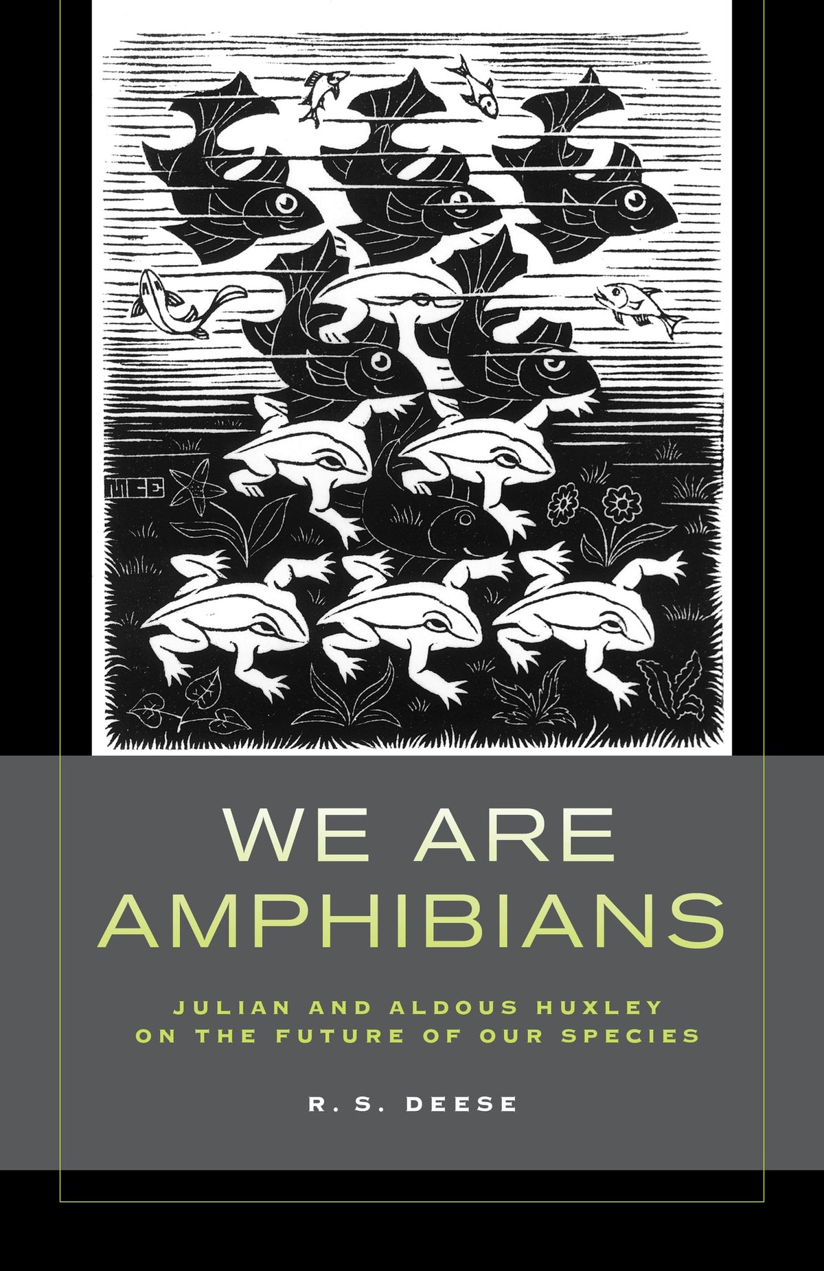 Cover image for We Are Amphibians ISBN 9780520959569