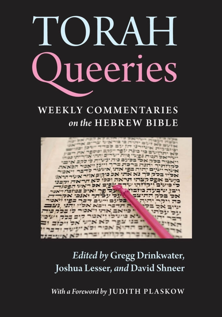Cover image for Torah Queeries ISBN 9780814720127