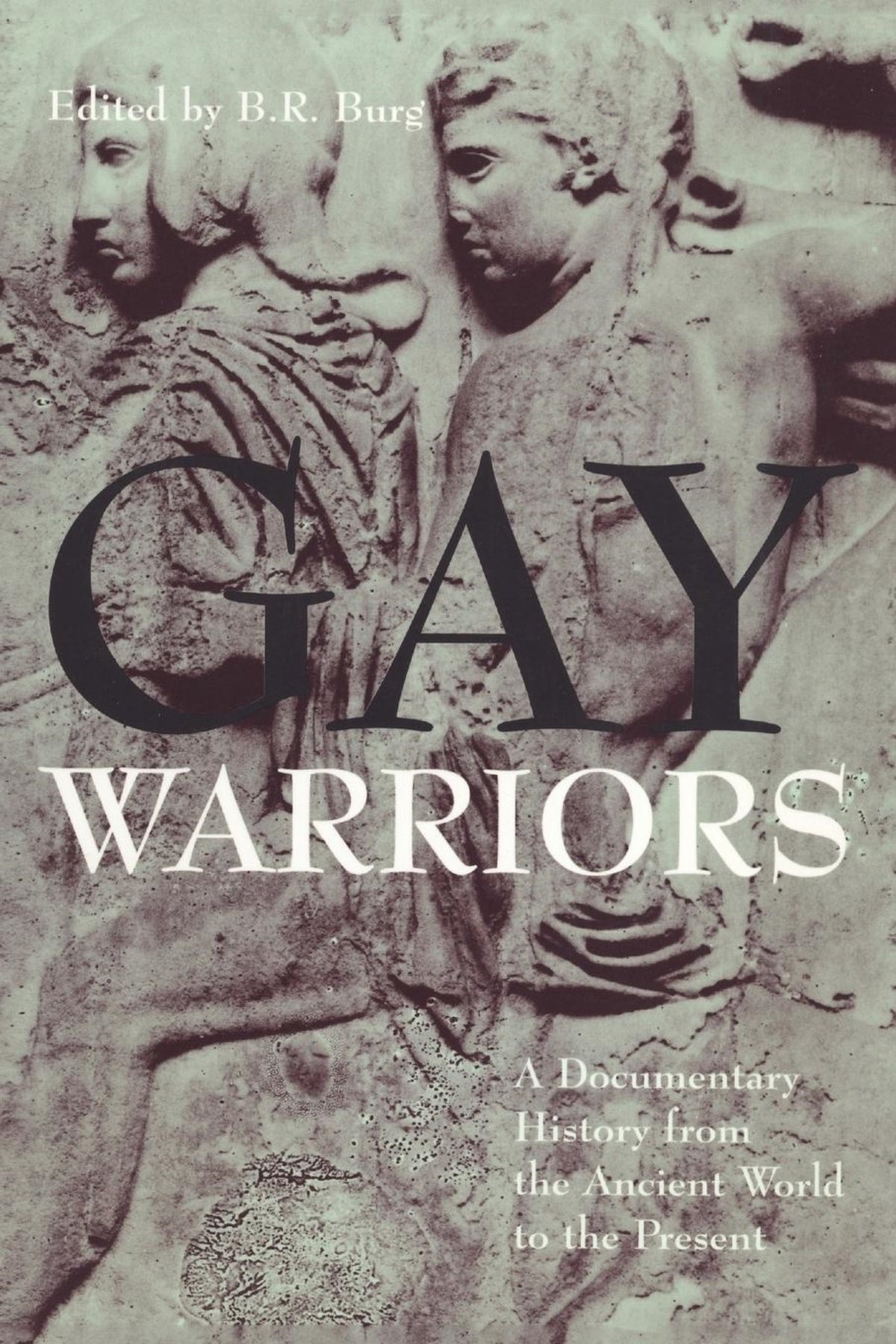 Cover image for Gay Warriors ISBN 9780814798867