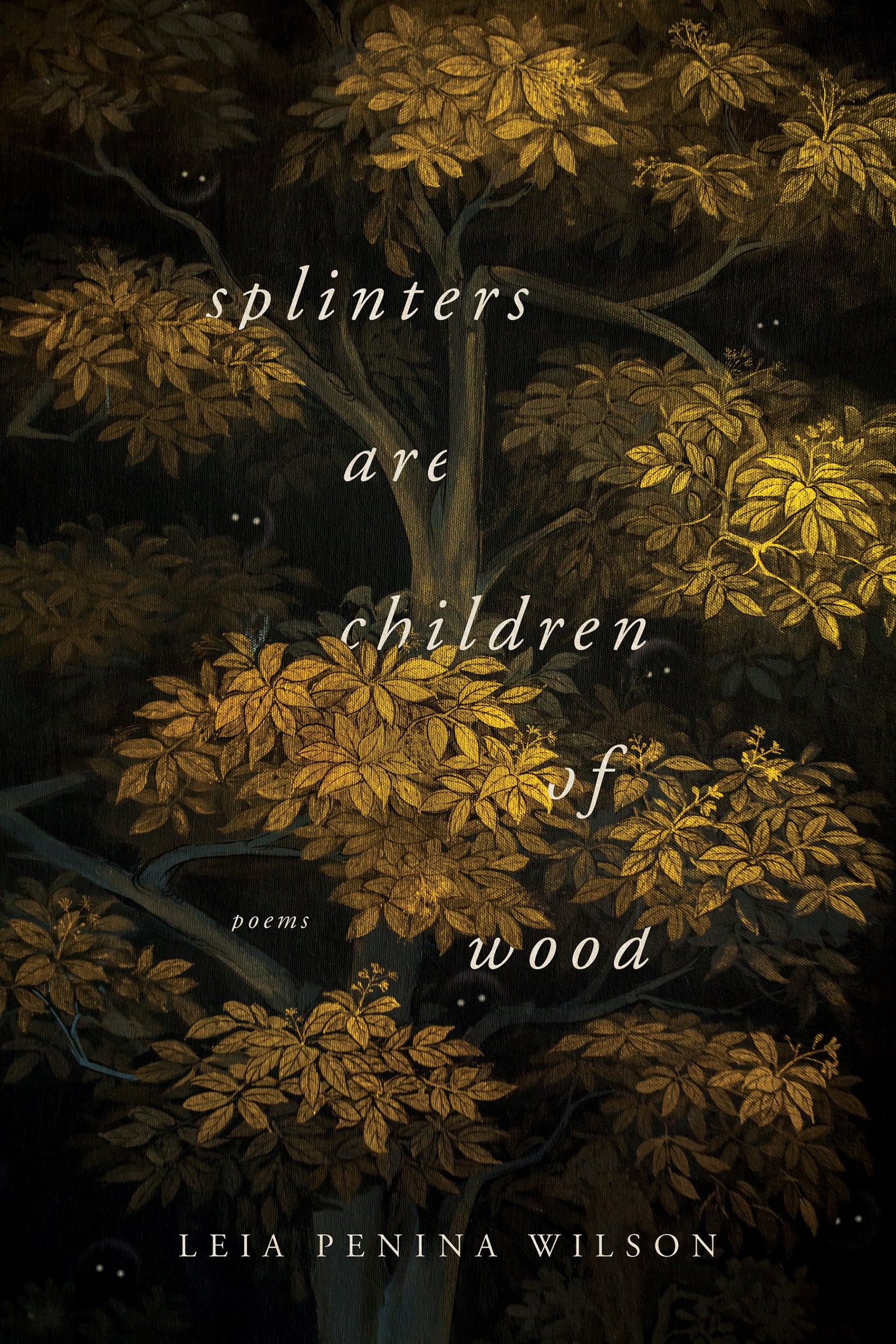 Cover image for Splinters Are Children of Wood ISBN 9780268106171