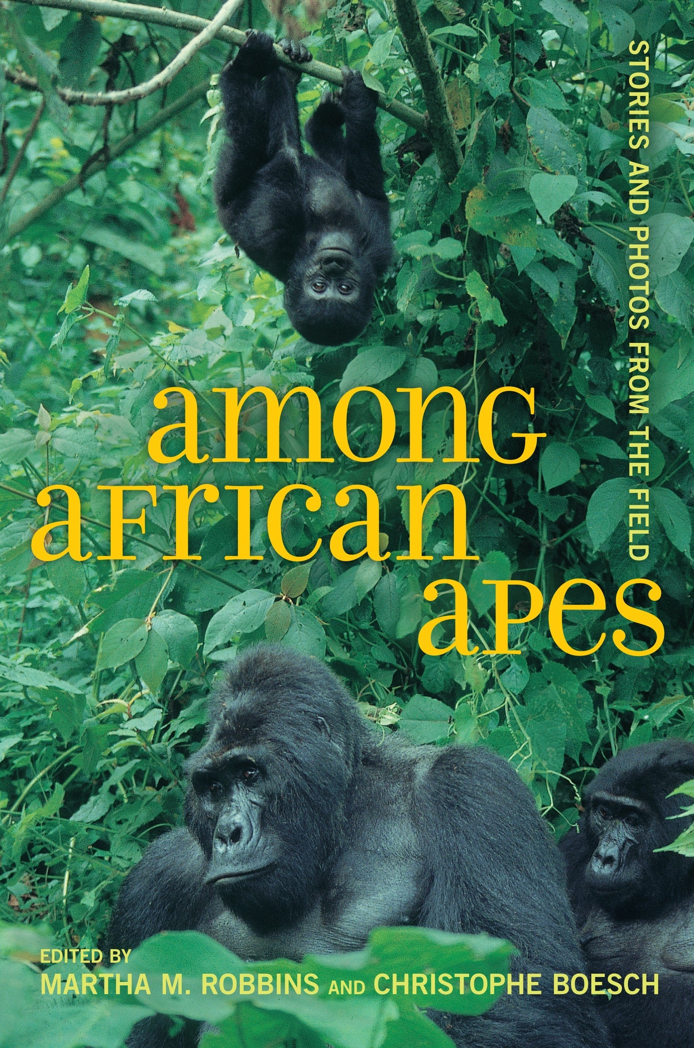 Cover image for Among African Apes ISBN 9780520948839