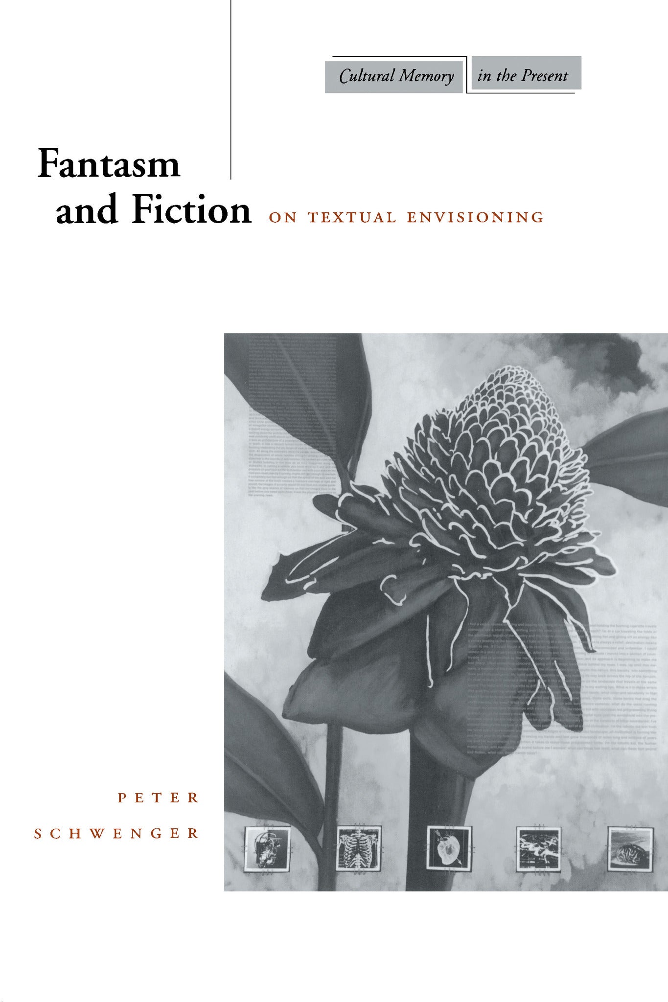Cover image for Fantasm and Fiction ISBN 9780804733434