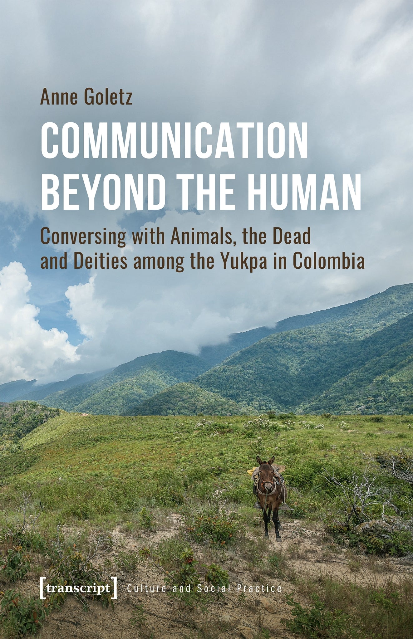 Communication Beyond the Human