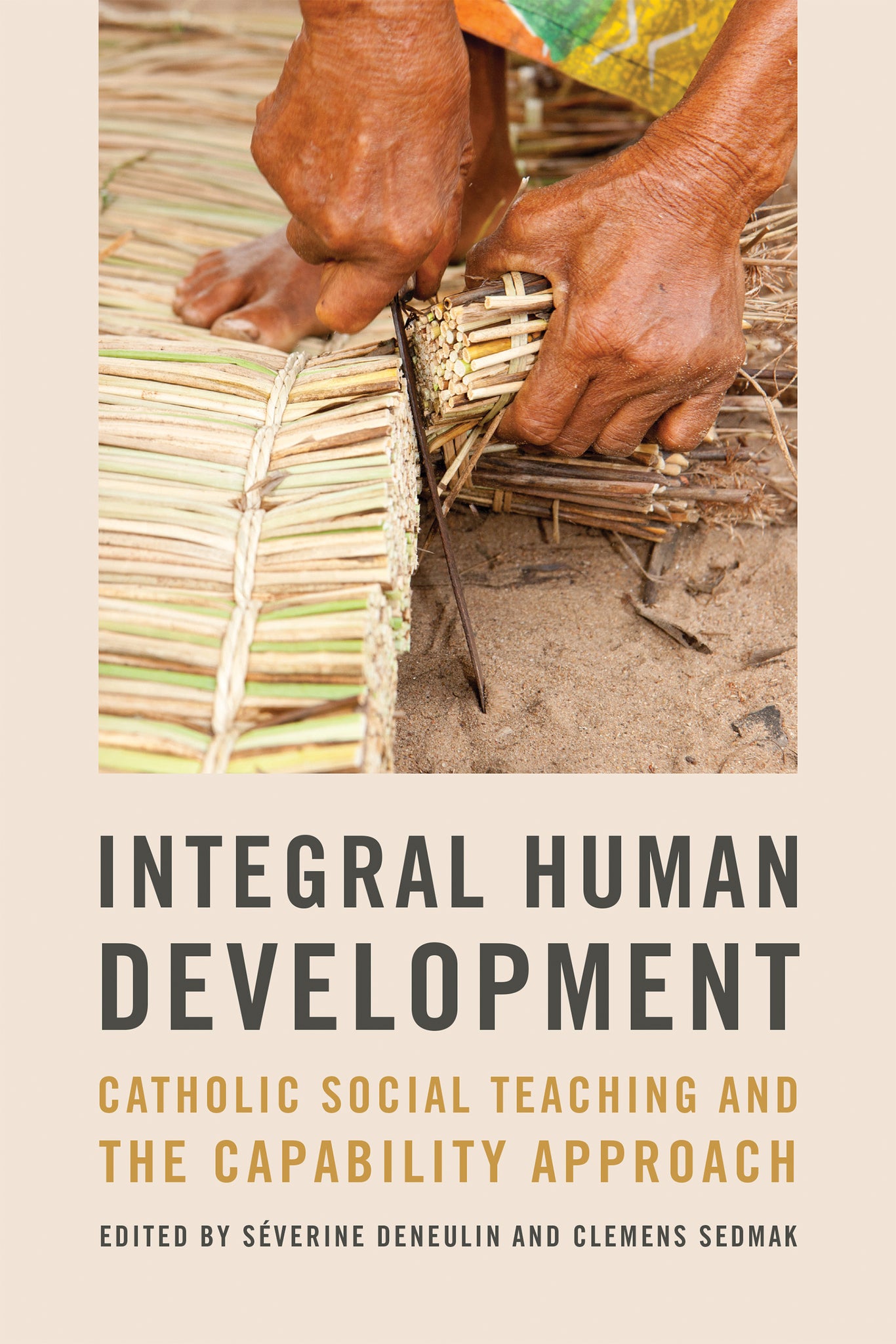 Cover image for Integral Human Development ISBN 9780268205706