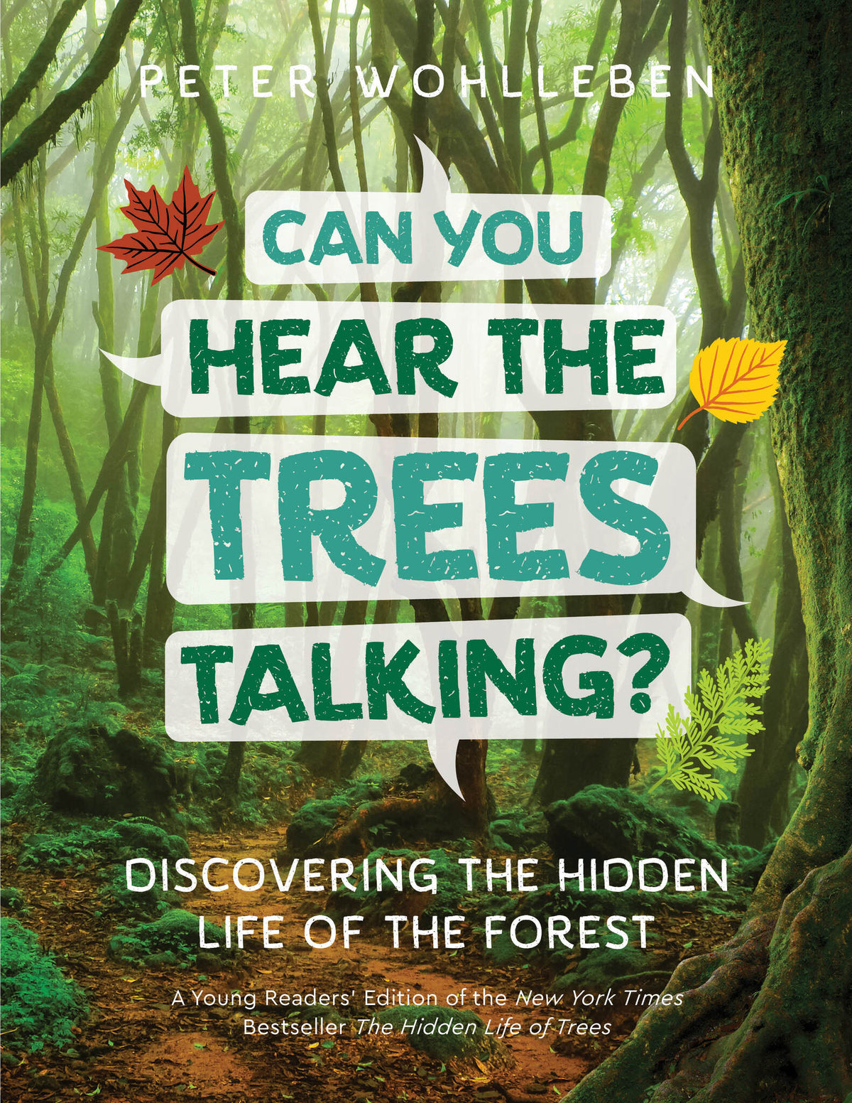 Cover image for Can You Hear The Trees Talking? ISBN 9781778404849