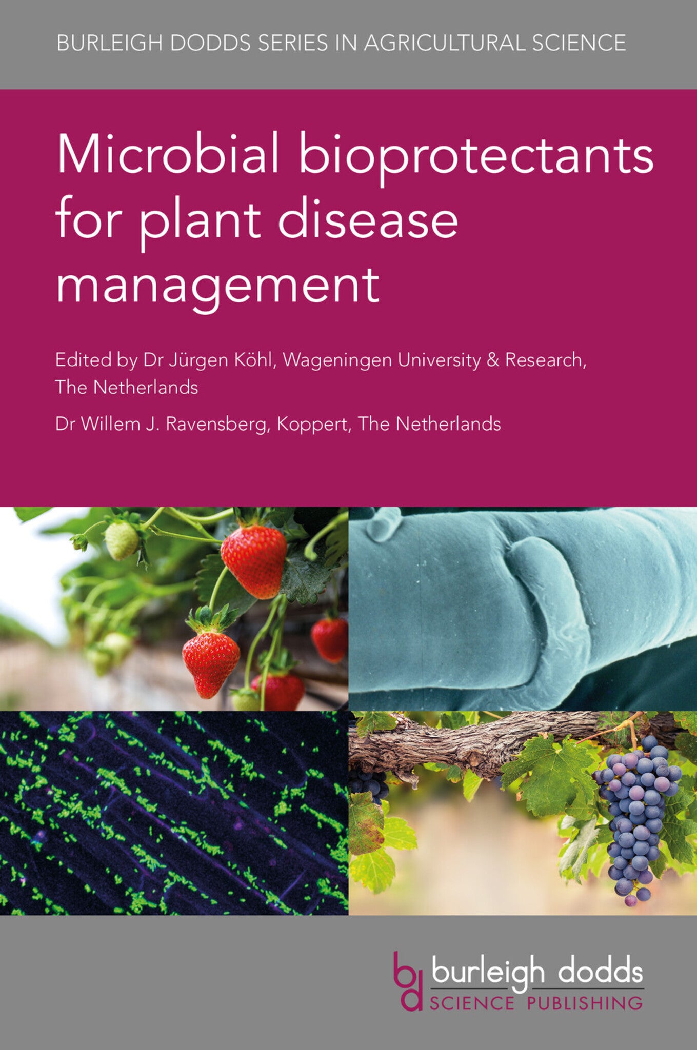 Cover image for Microbial bioprotectants for plant disease management ISBN 9781786768131