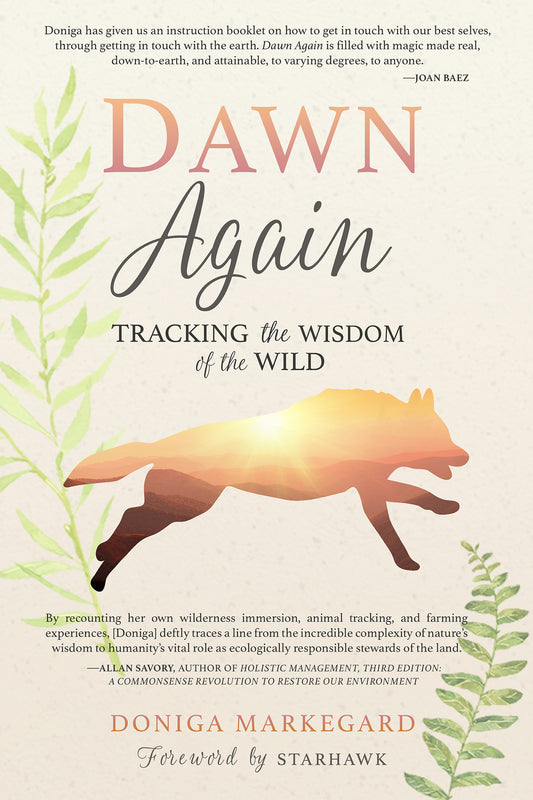 Dawn Again