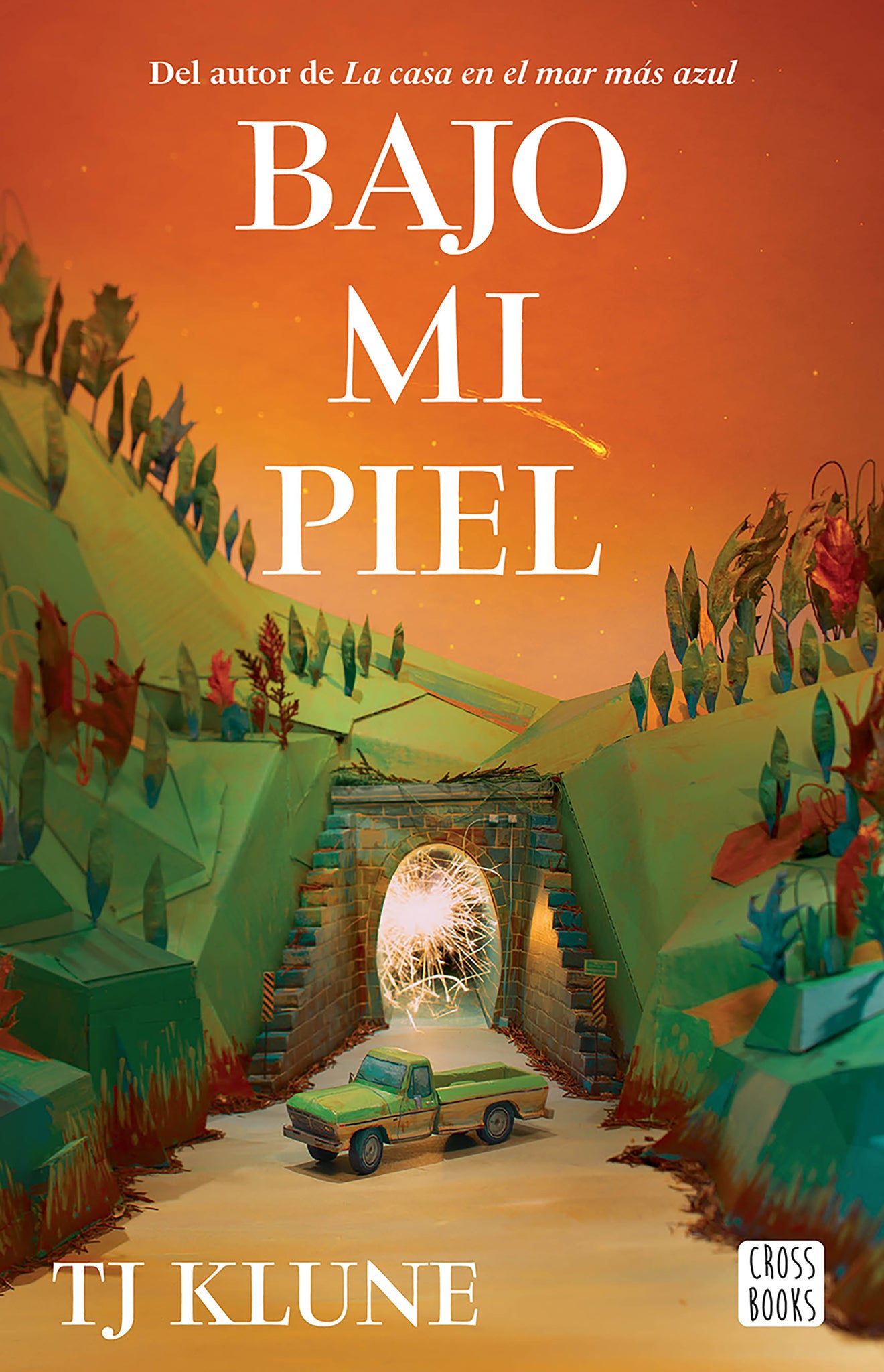 Bajo mi piel / The Bones Beneath My Skin