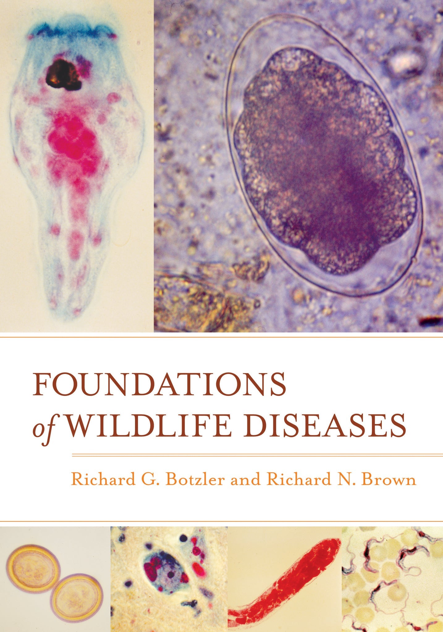 Cover image for Foundations of Wildlife Diseases ISBN 9780520958951