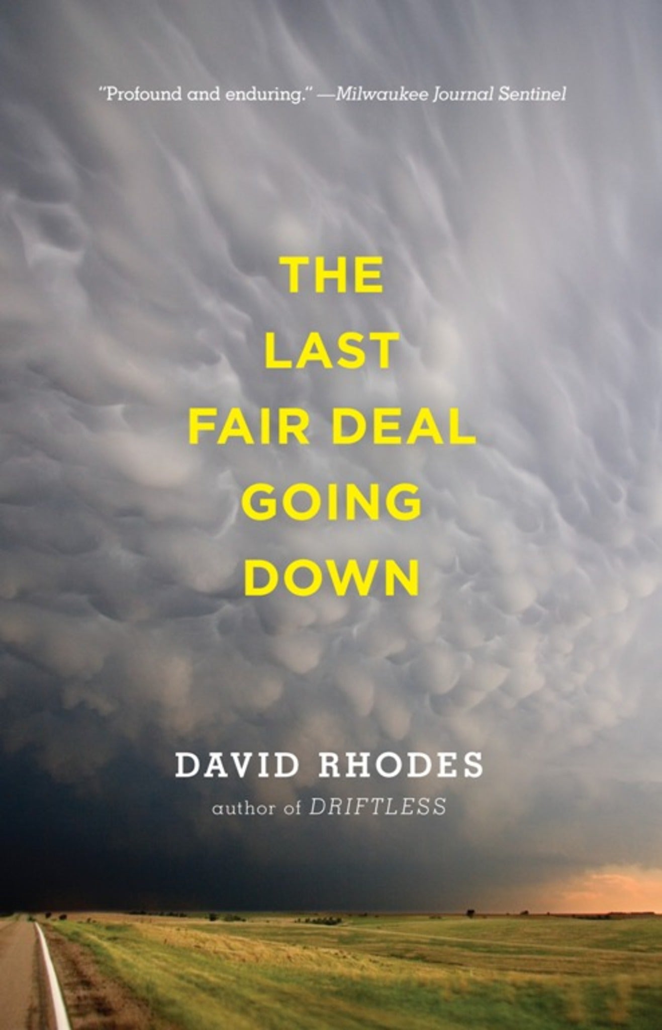 Cover image for The Last Fair Deal Going Down ISBN 9781571310767