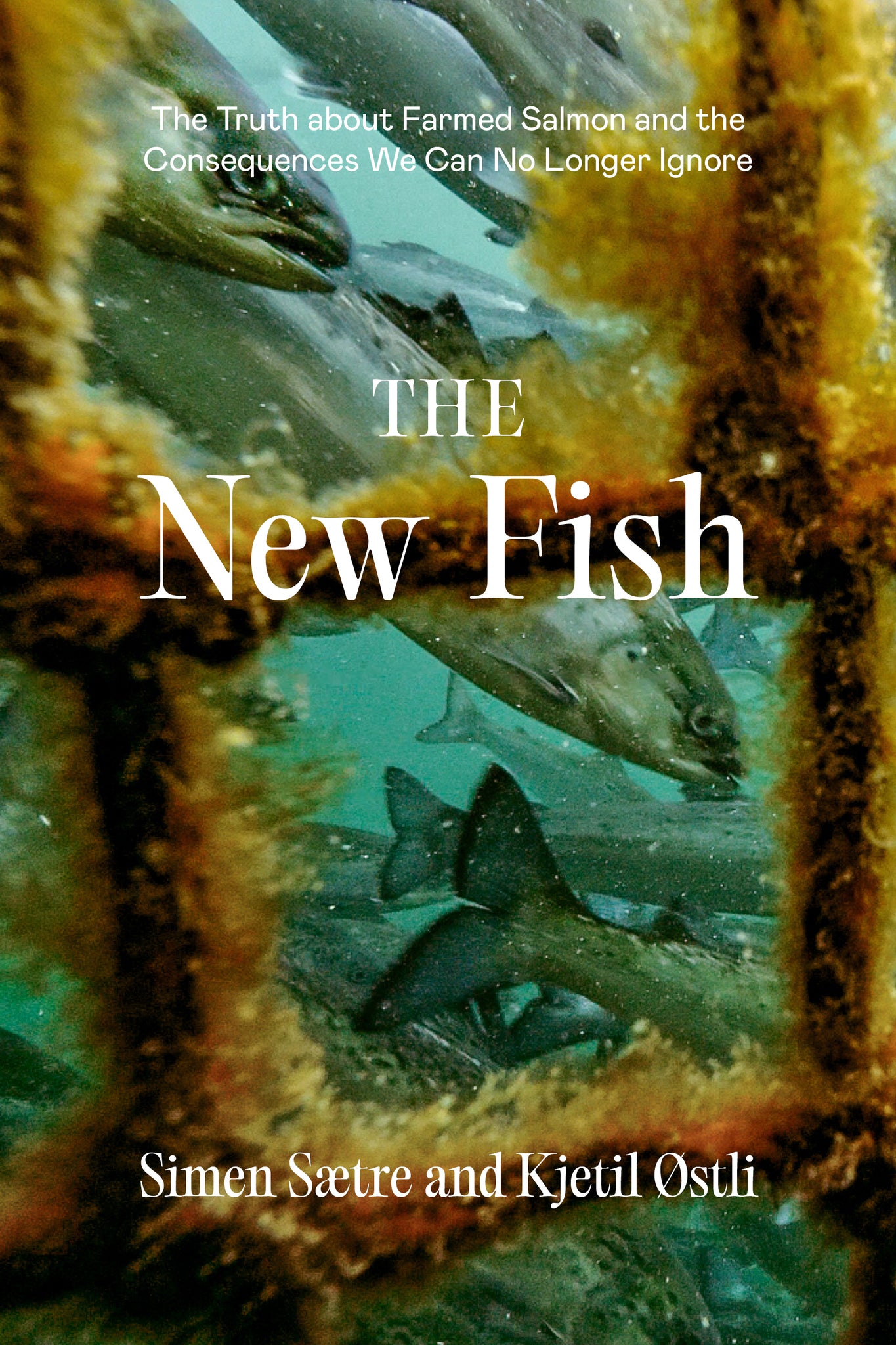 Cover image for The New Fish ISBN 