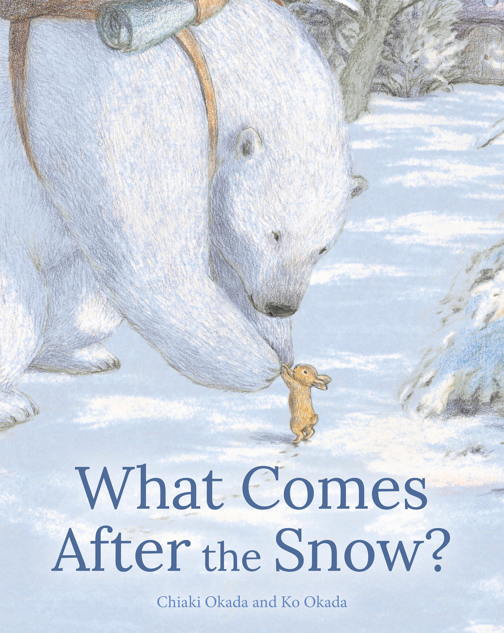 Cover image for What Comes After the Snow? ISBN 9781835750087
